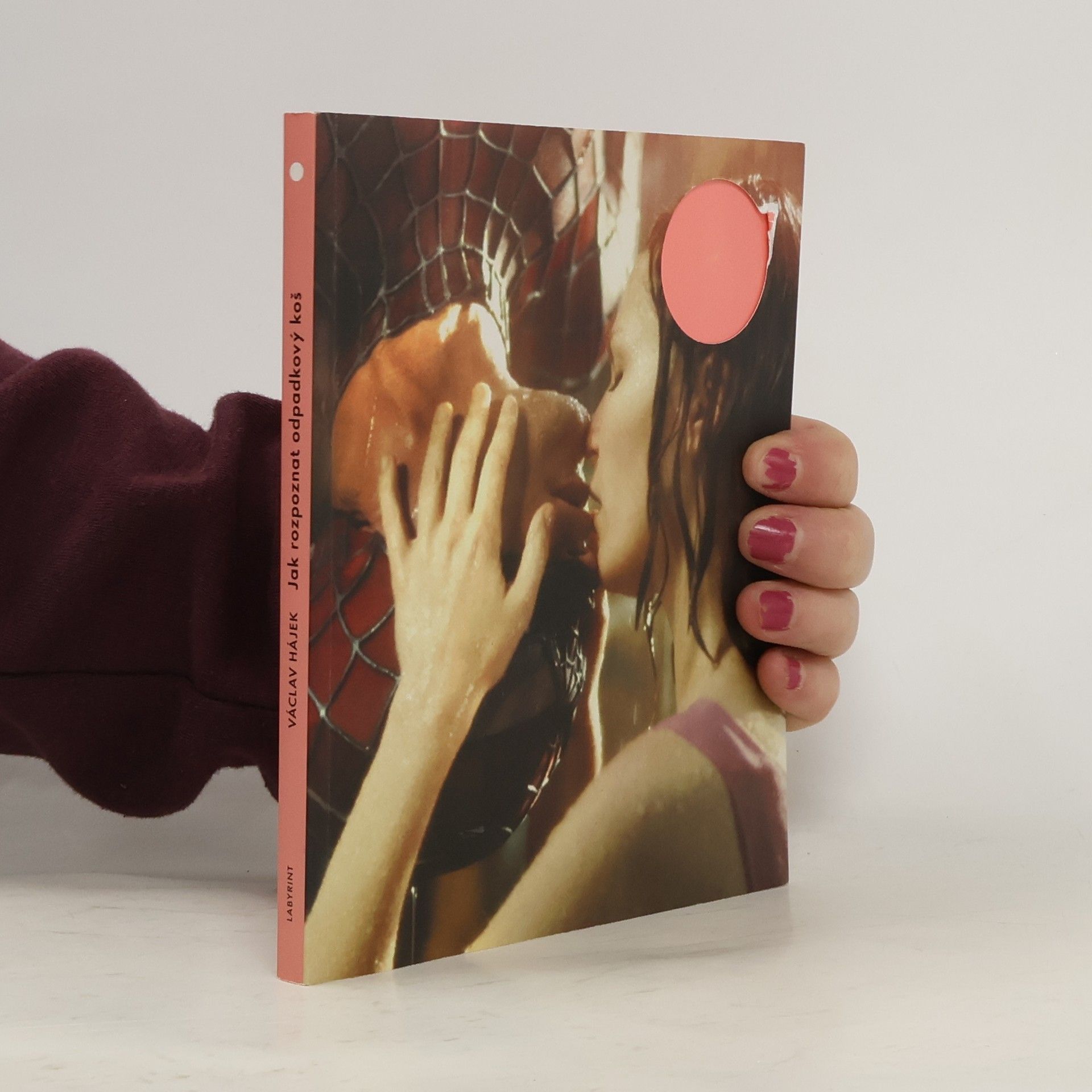 Václav Hájek Jak rozpoznat odpadkový koš