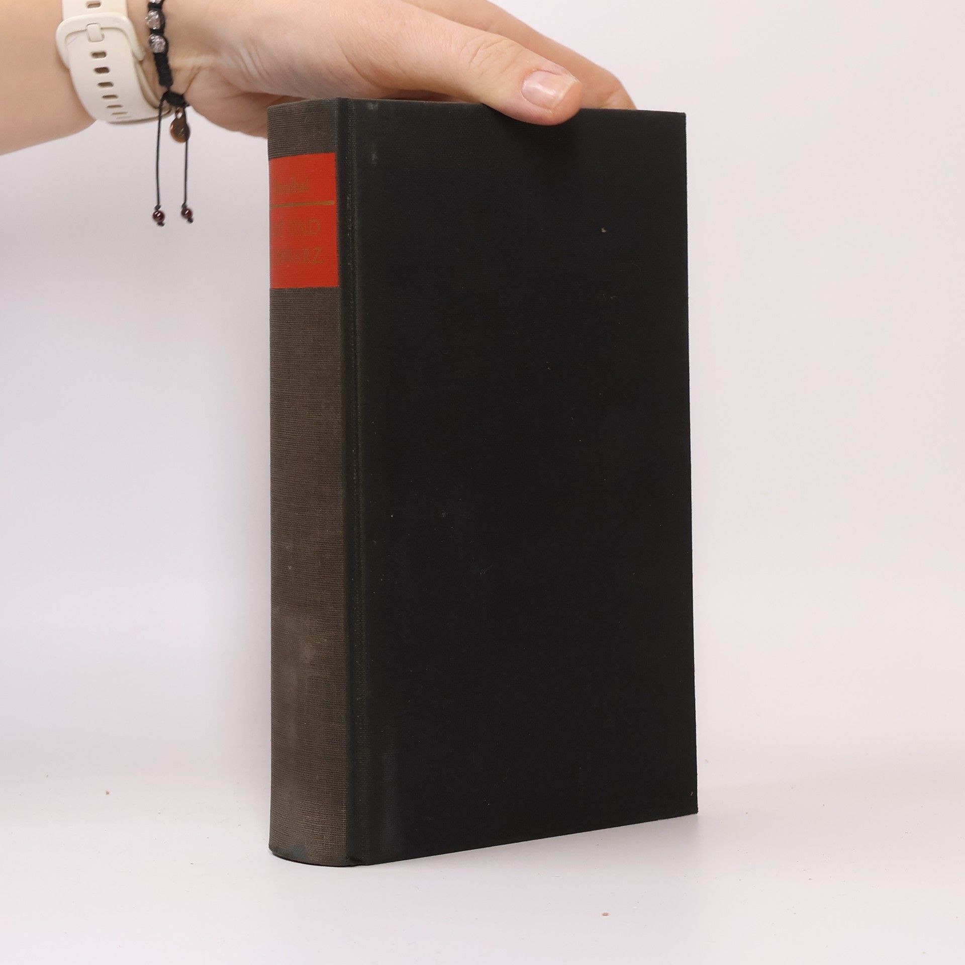 Stendhal Rot und Schwarz