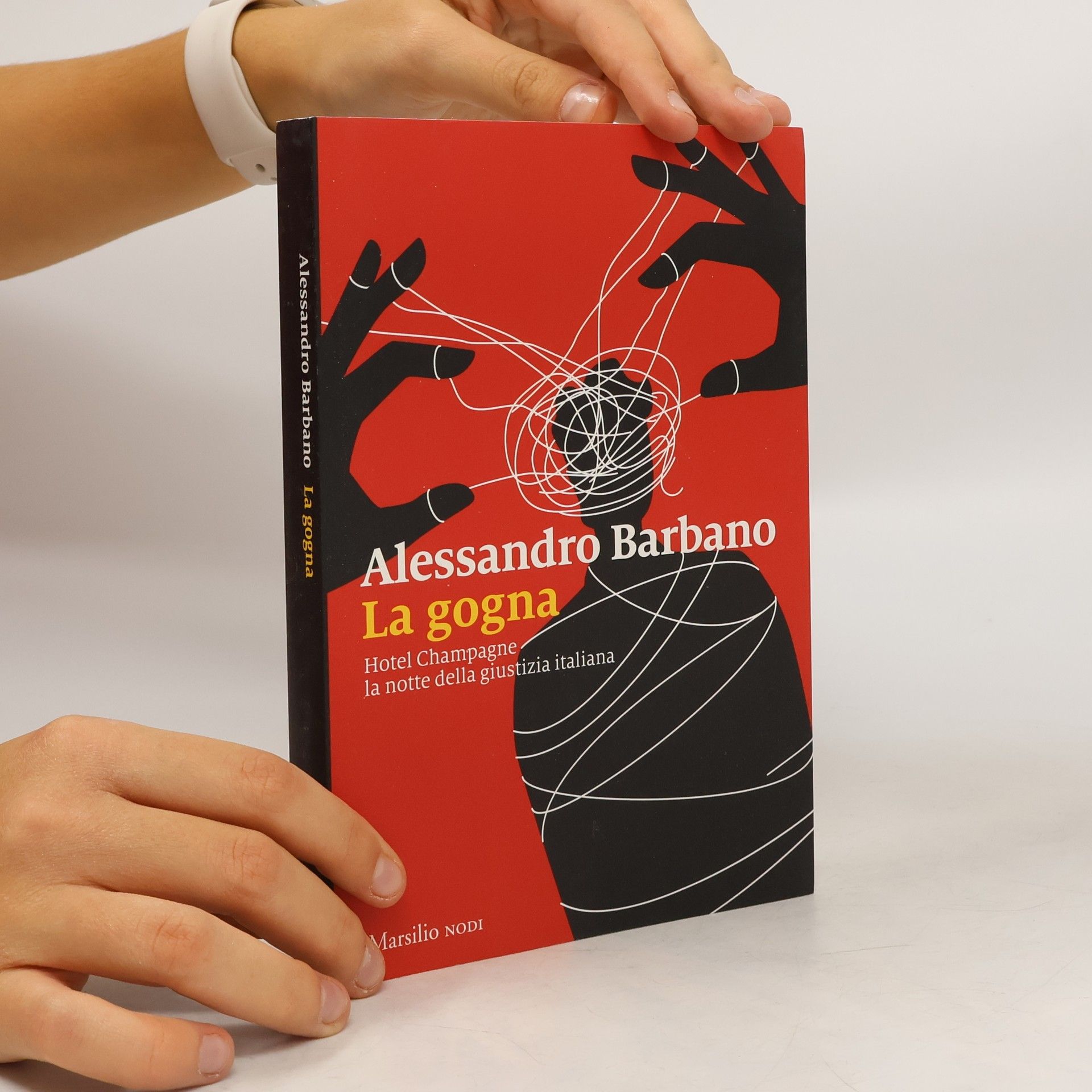 Alessandro Barbano La gogna. Hotel Champagne, la notte della giustizia italiana