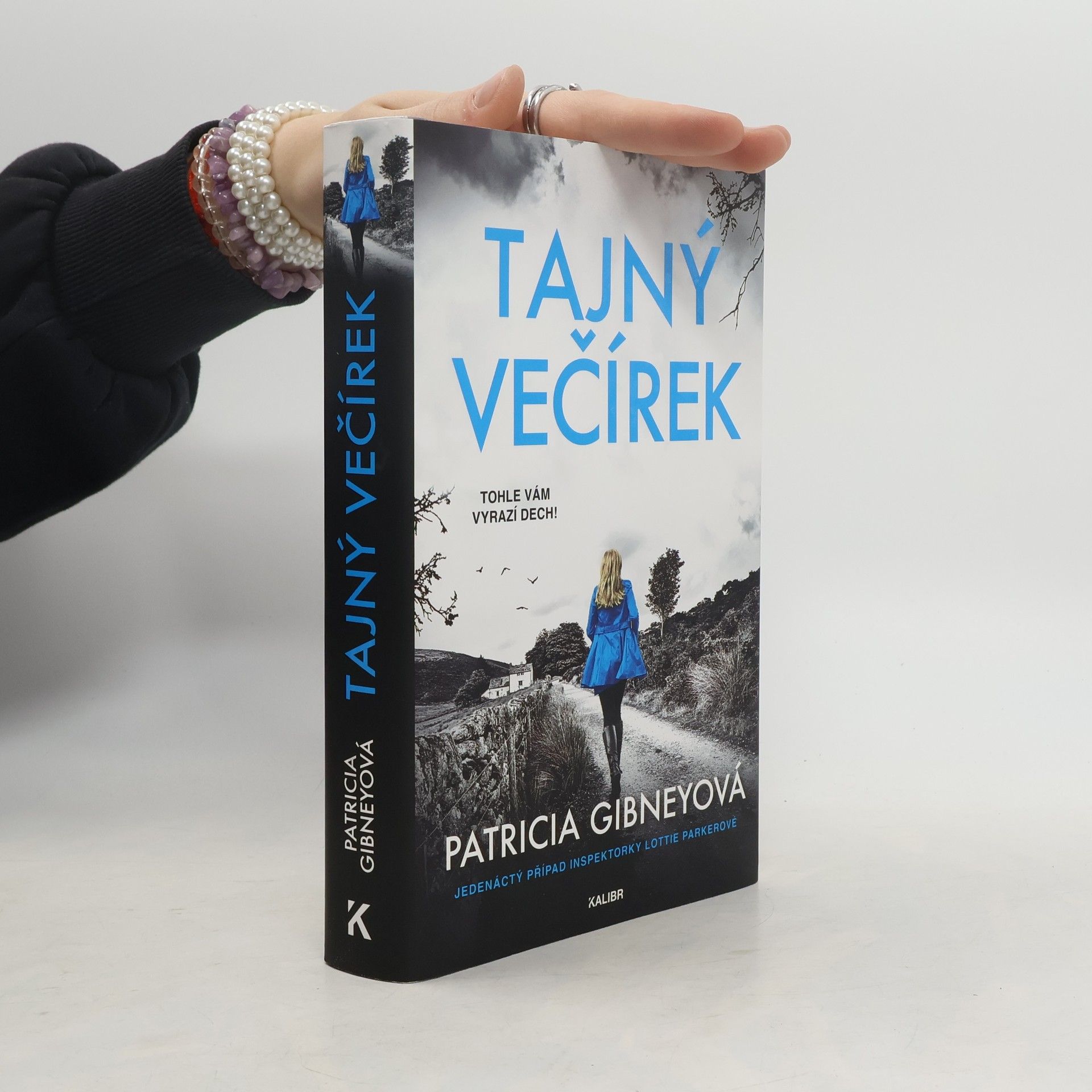 Patricia Gibney Tajný večírek