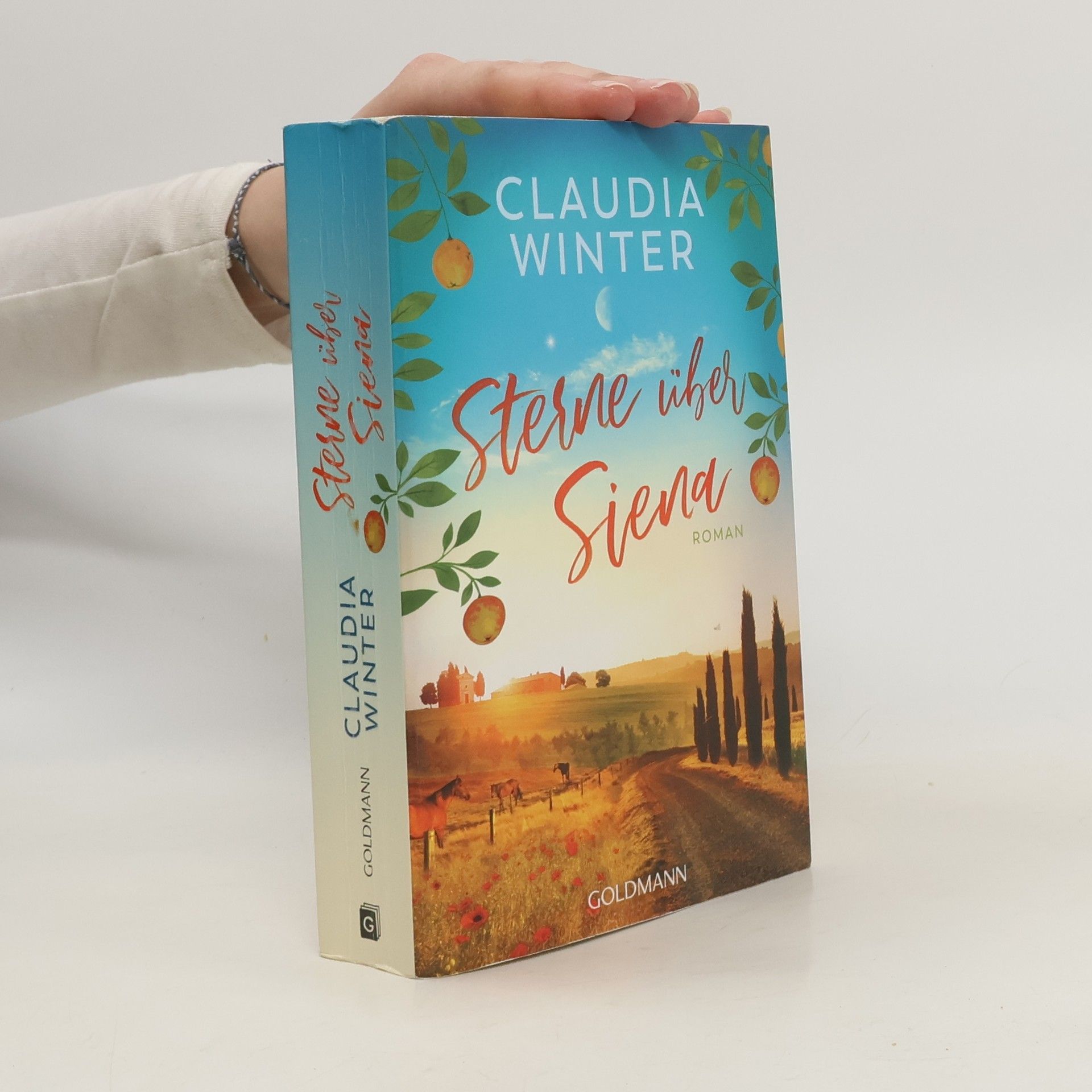 Claudia Winter Sterne über Siena