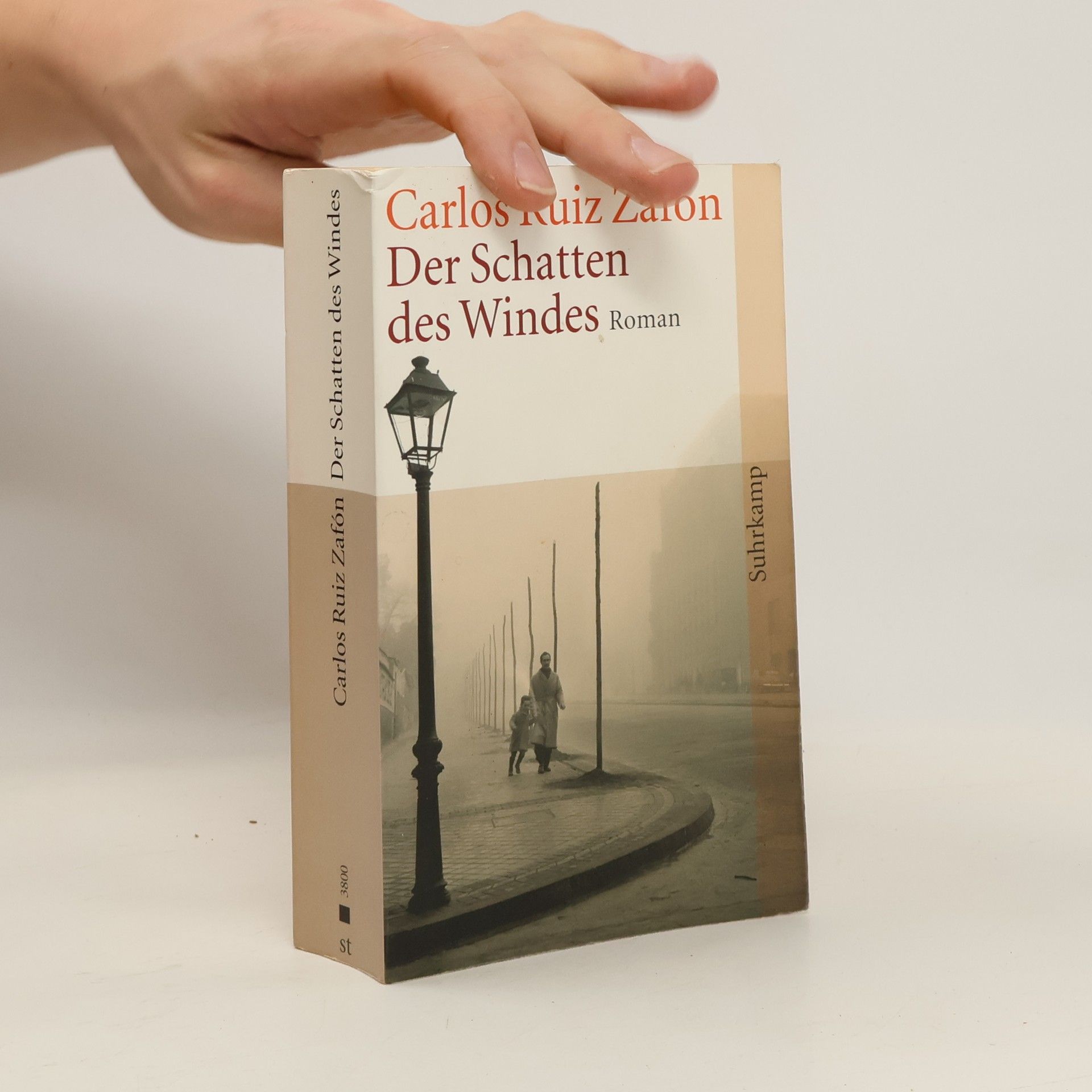 Carlos Ruiz Zafón Der Schatten des Windes