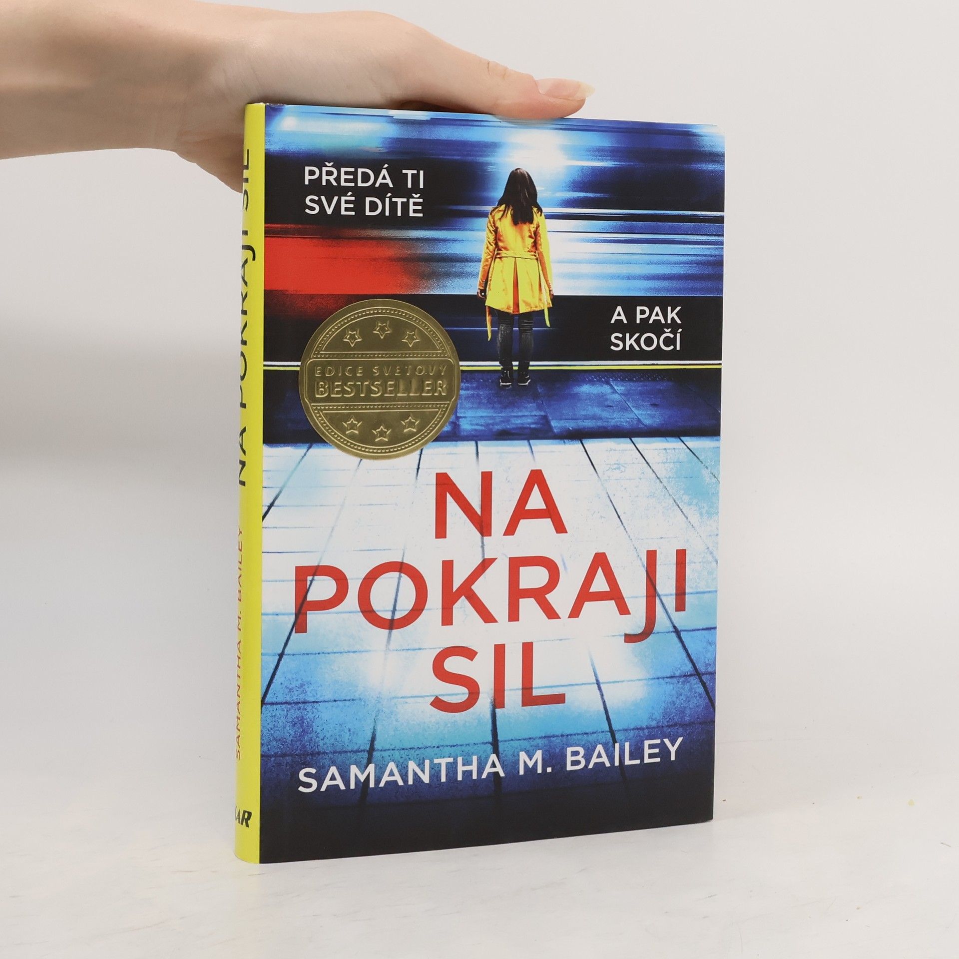 Samantha M. Bailey Na pokraji sil