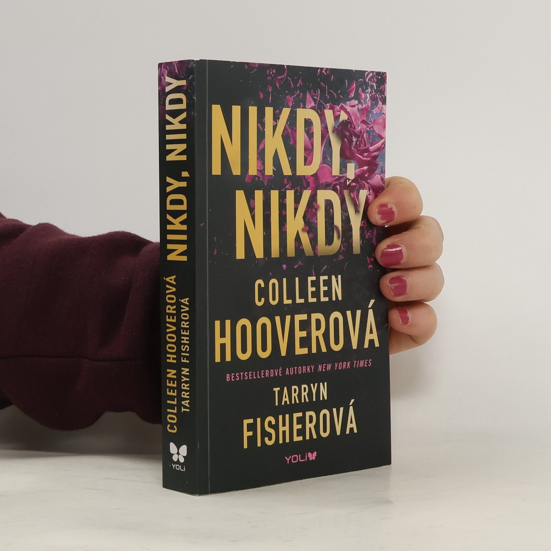 Colleen Hoover Nikdy, nikdy