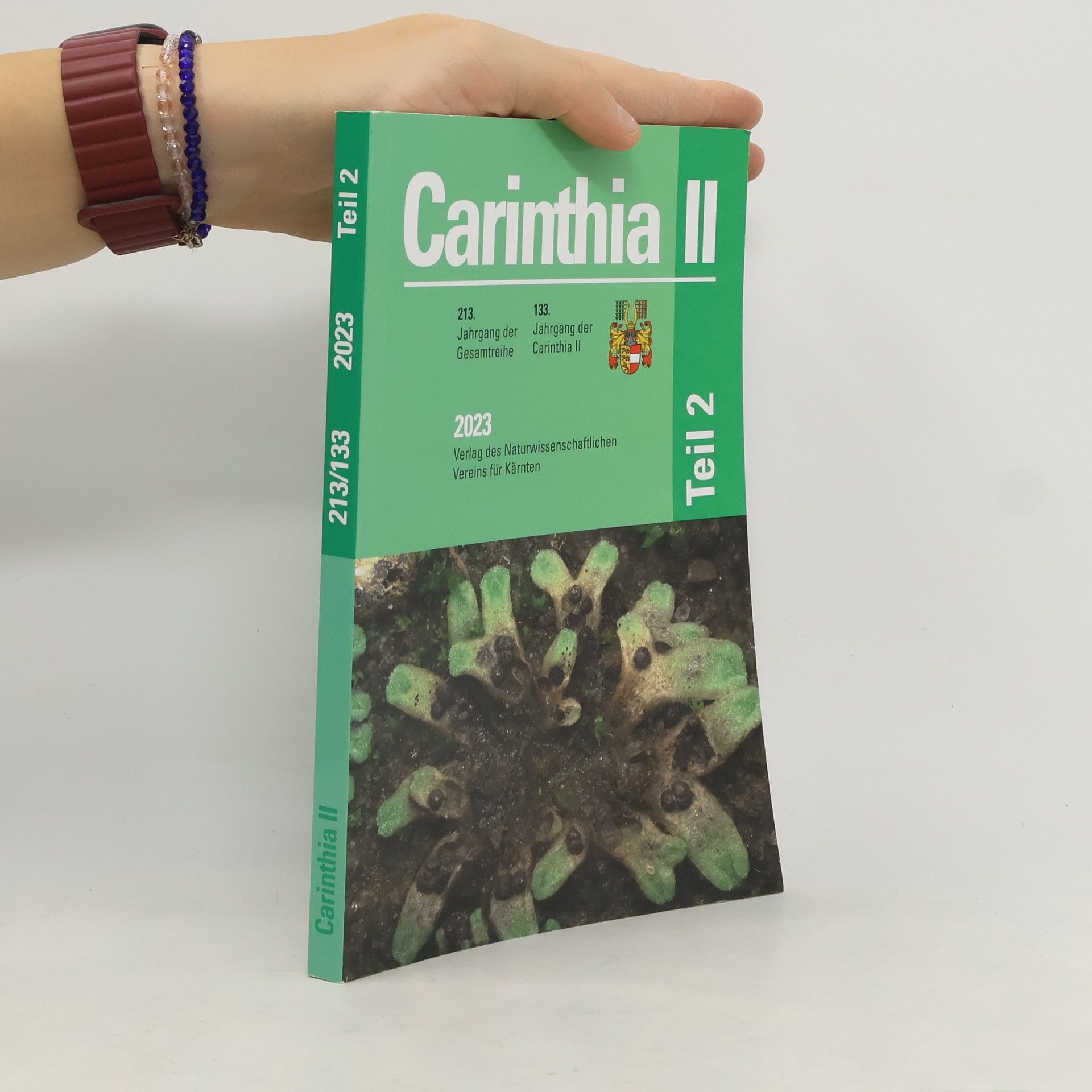 Autorenkollektiv Carinthia II