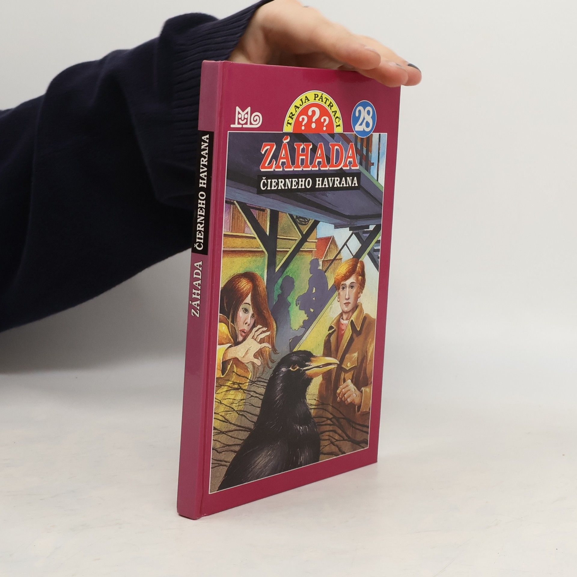 André Marx Záhada čierneho havrana