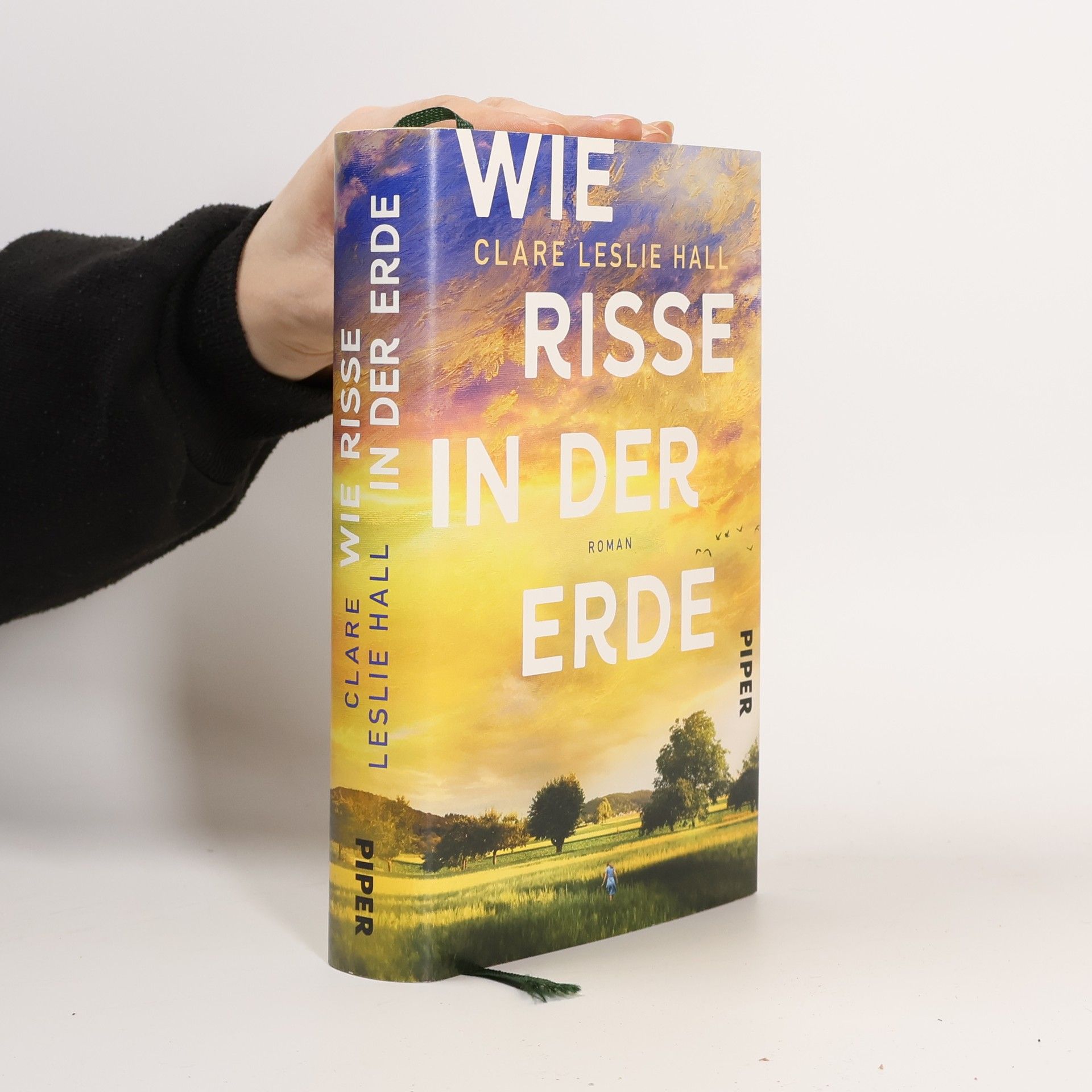 Clare Leslie Hall Wie Risse in der Erde