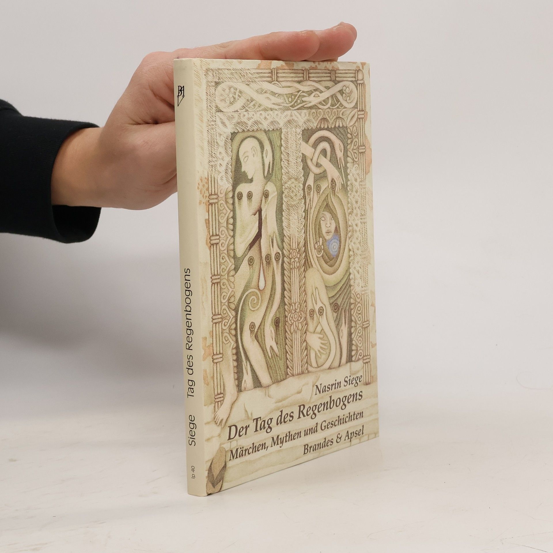 Nasrin Siege Der Tag des Regenbogens