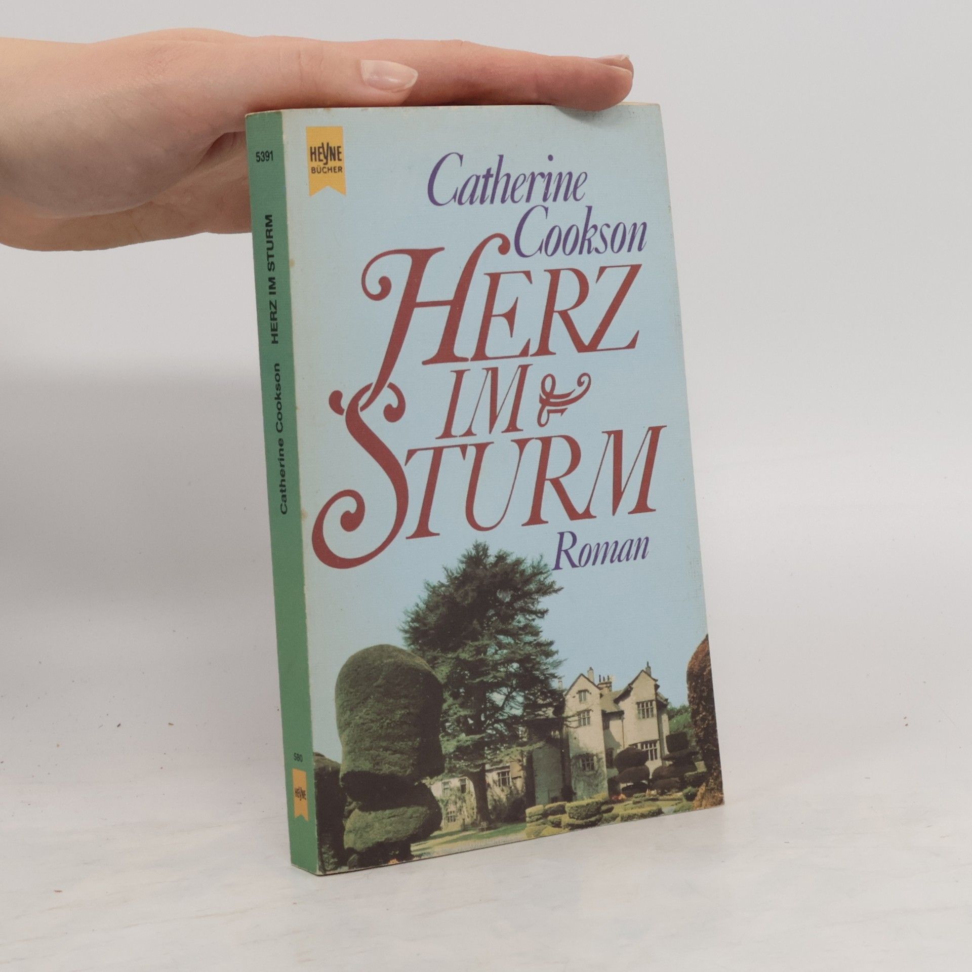 Catherine Cookson Herz im Sturm