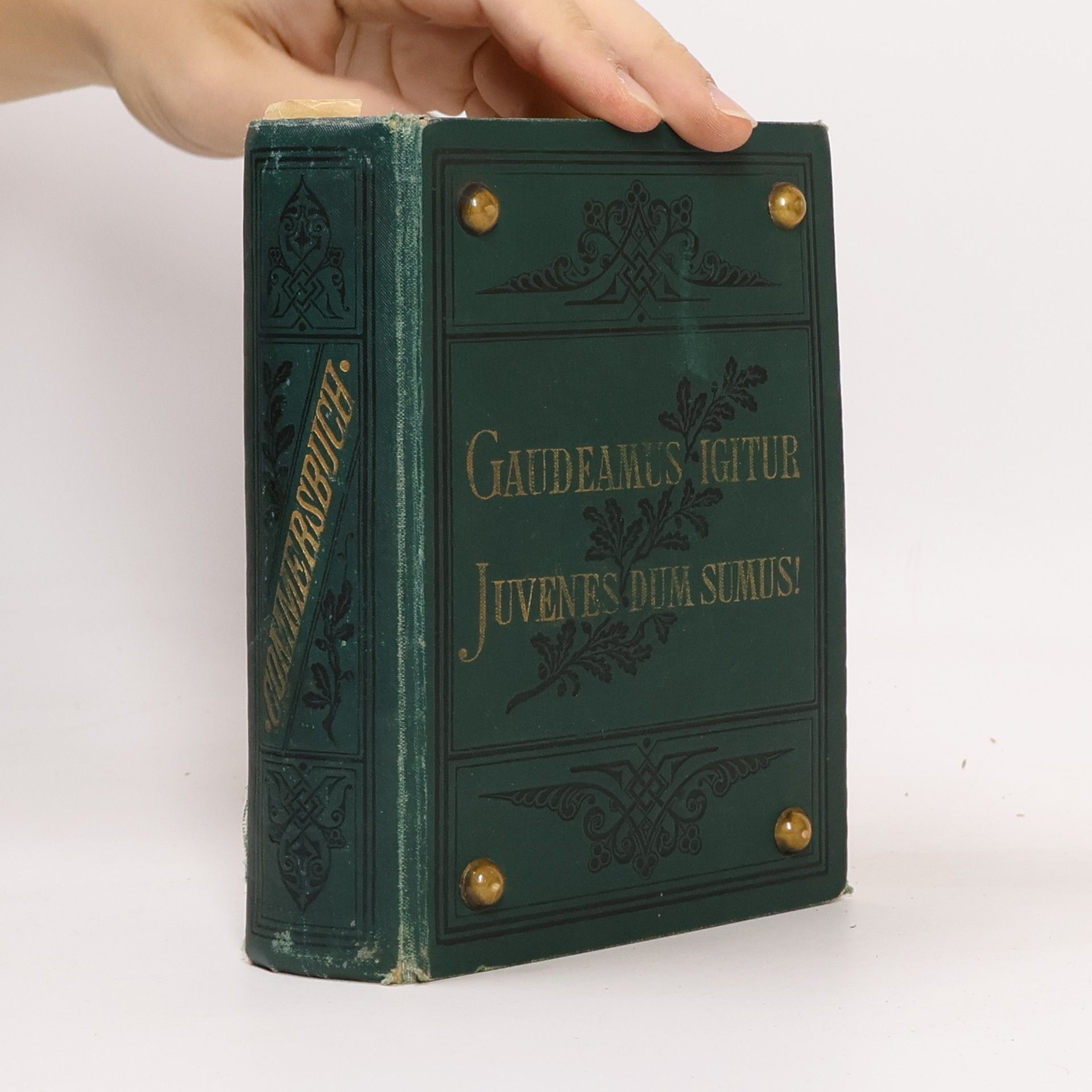 Collectif d'auteurs Gaudeamus igitur juvenes dum sumus!