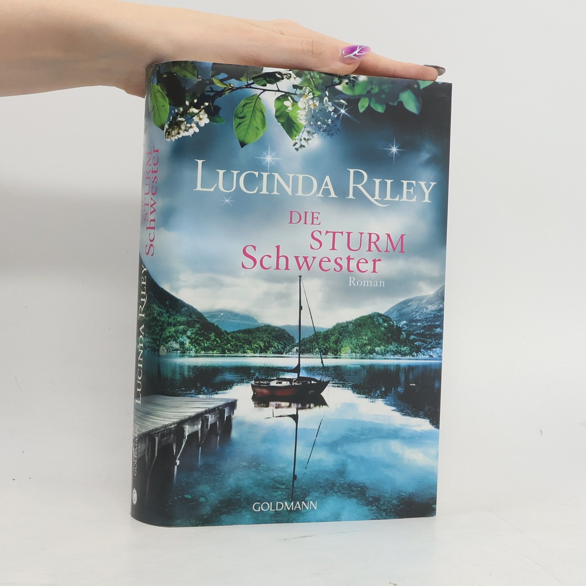 Lucinda Riley Die Sturmschwester