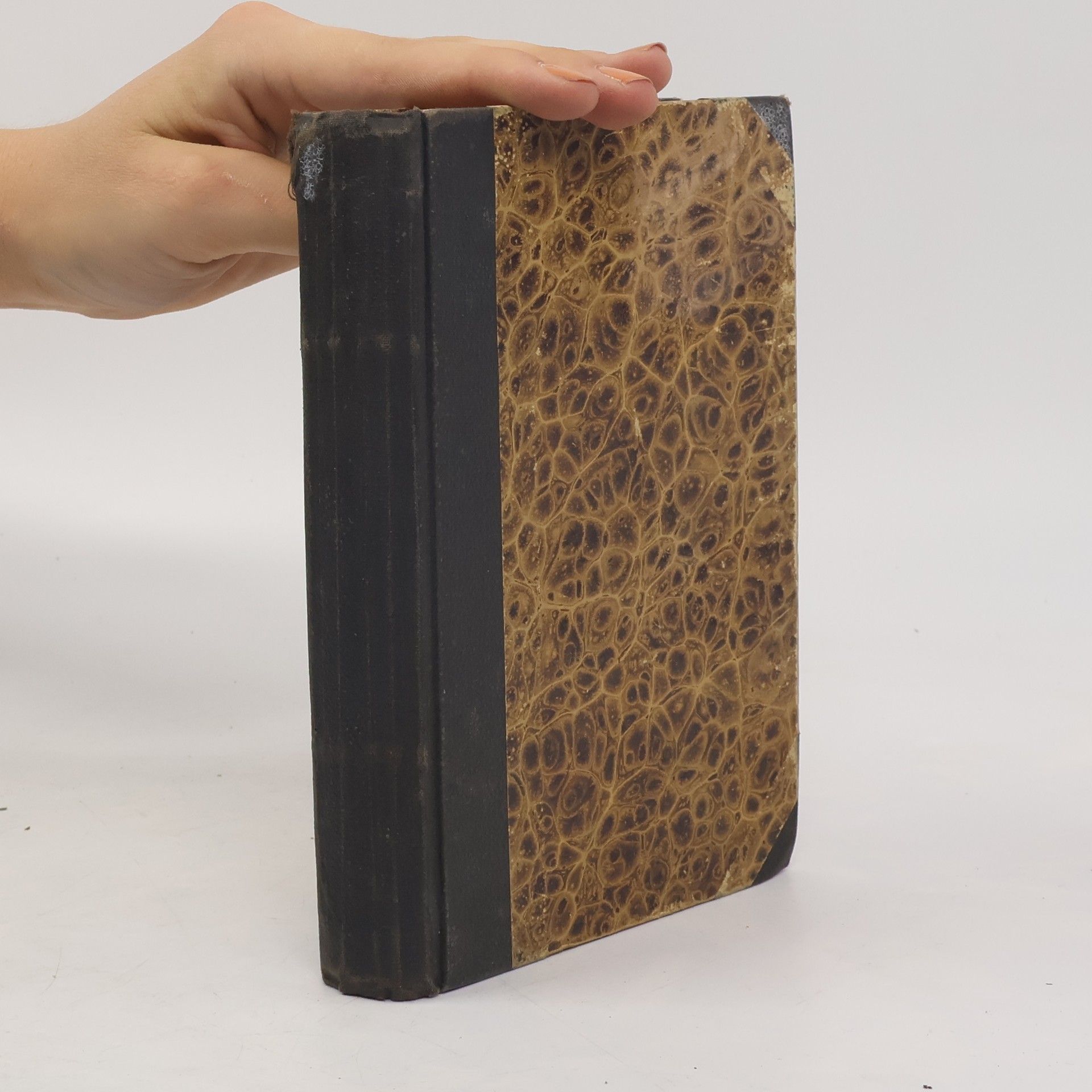 Eugenie Marlitt Služka správcova