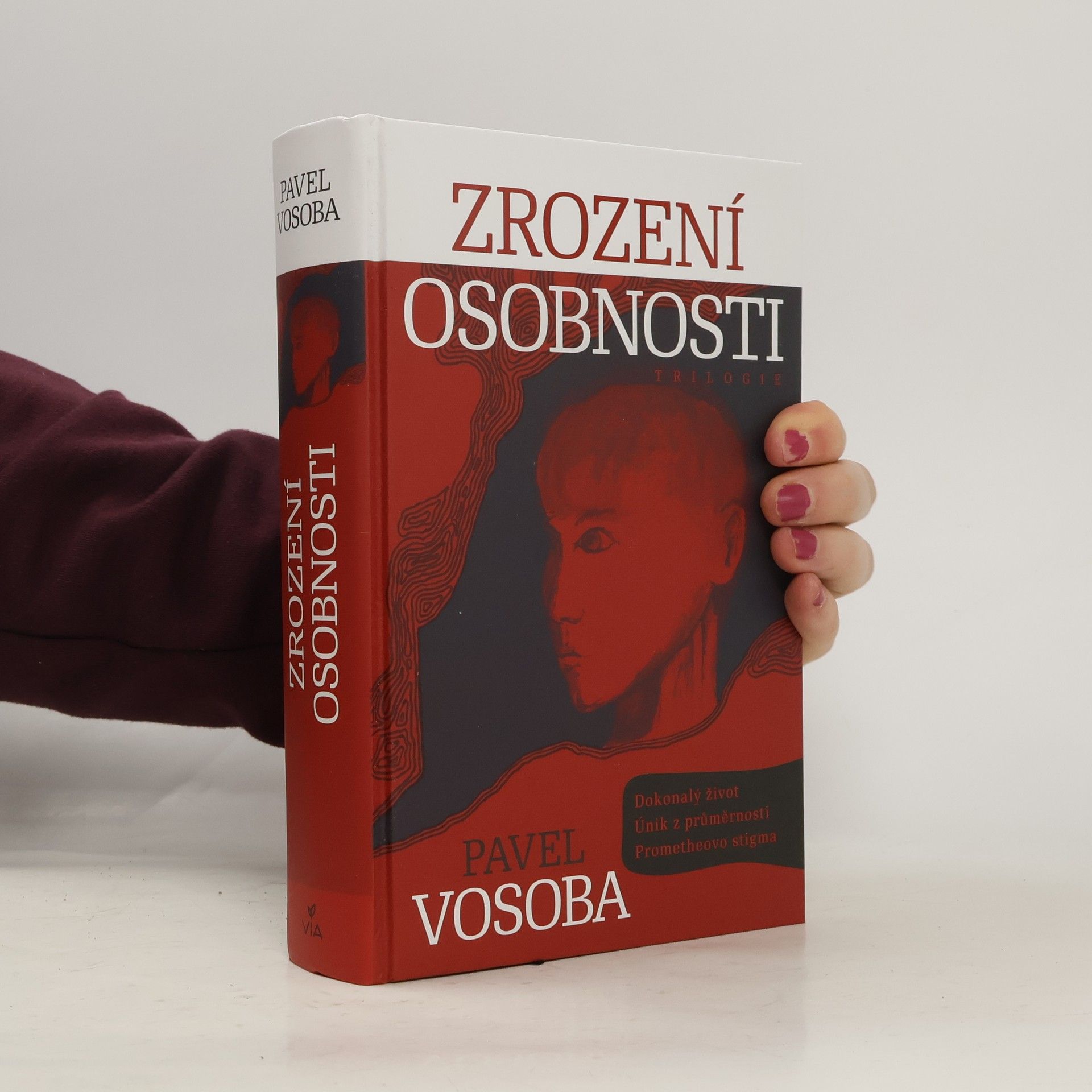 Pavel Vosoba Zrození osobnosti