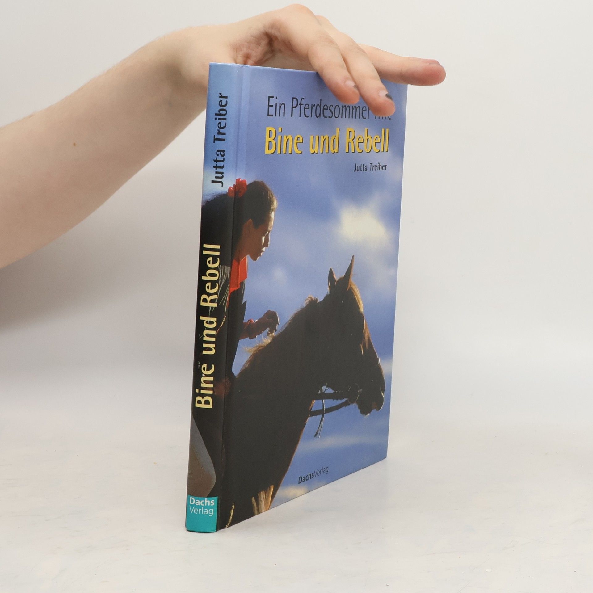 Jutta Treiber Ein Pferdesommer mit Bine und Rebell