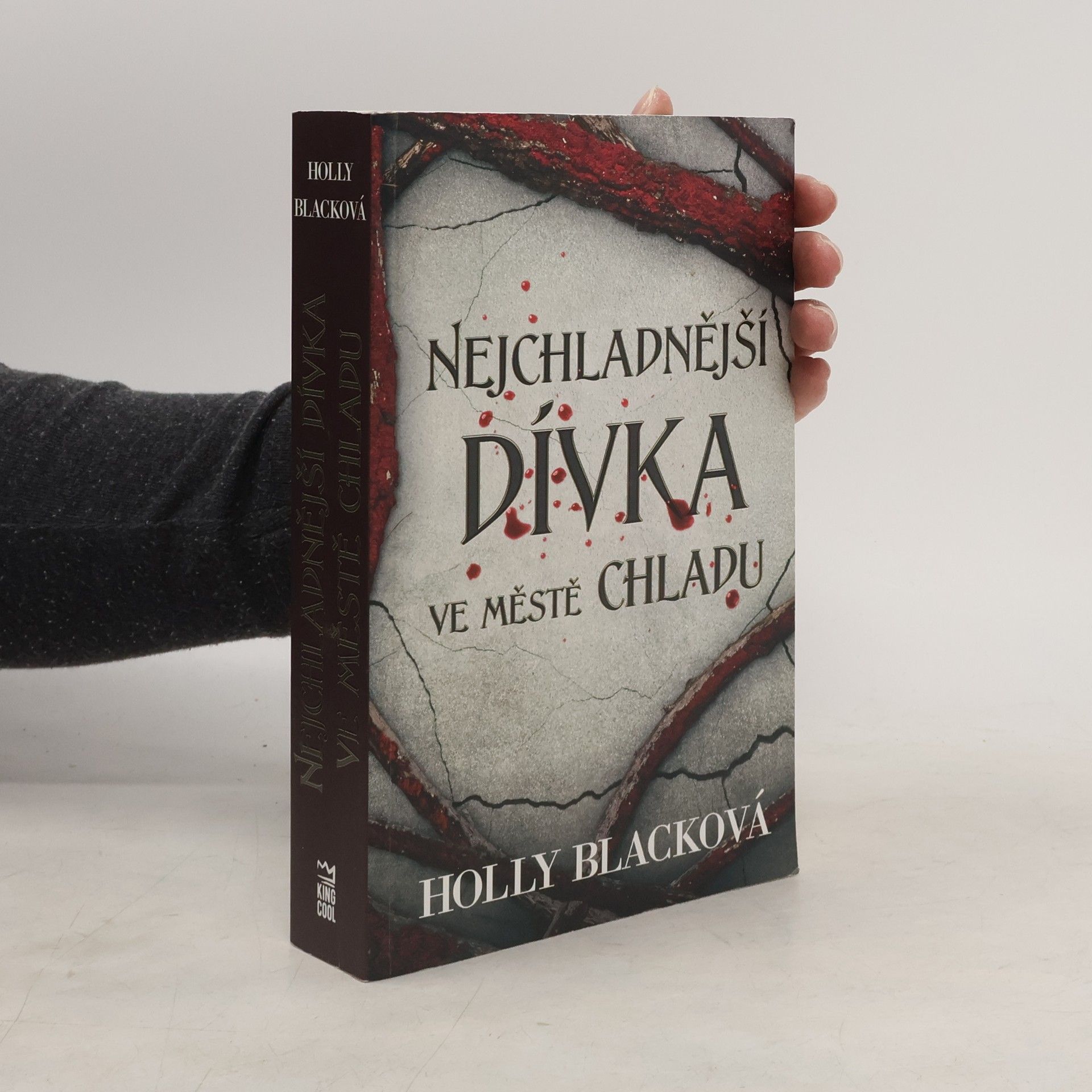 Holly Black Nejchladnější dívka ve městě chladu