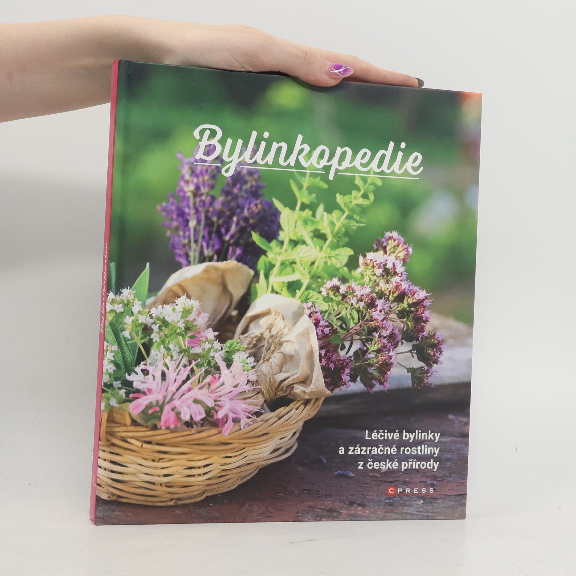 Auteurscollectief Bylinkopedie