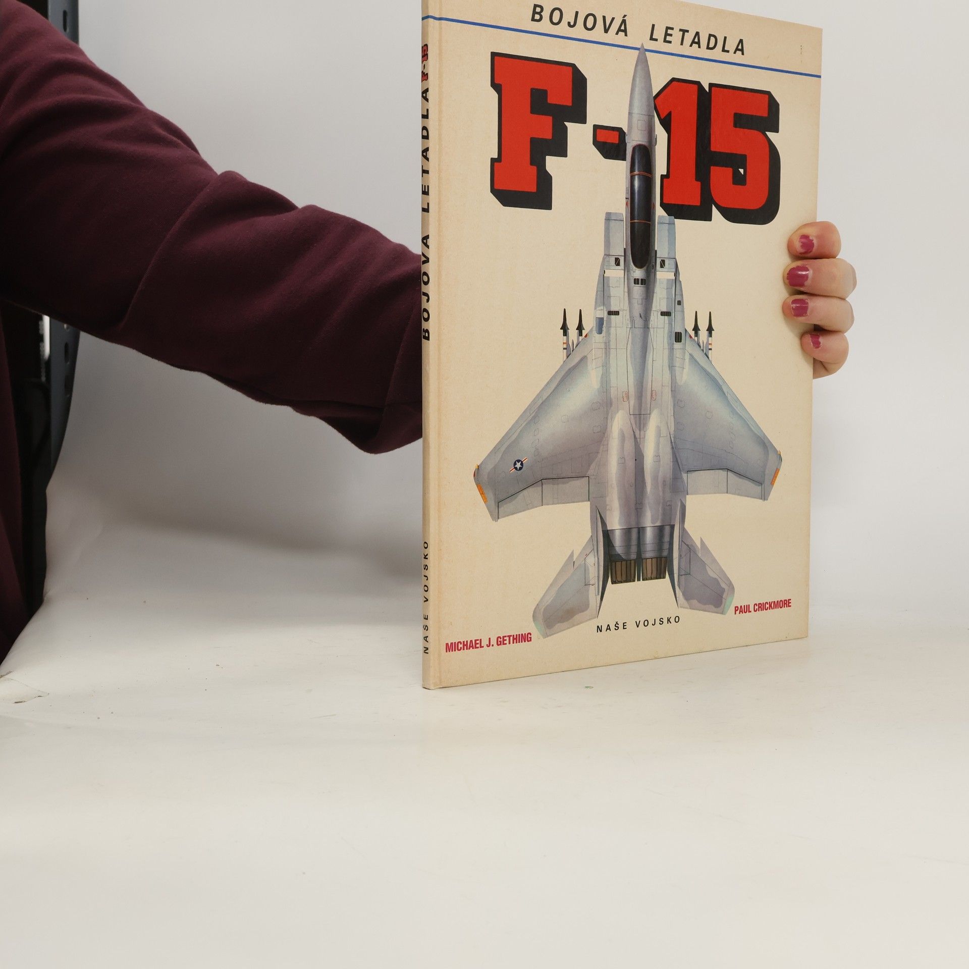 Michael J. Gething F-15