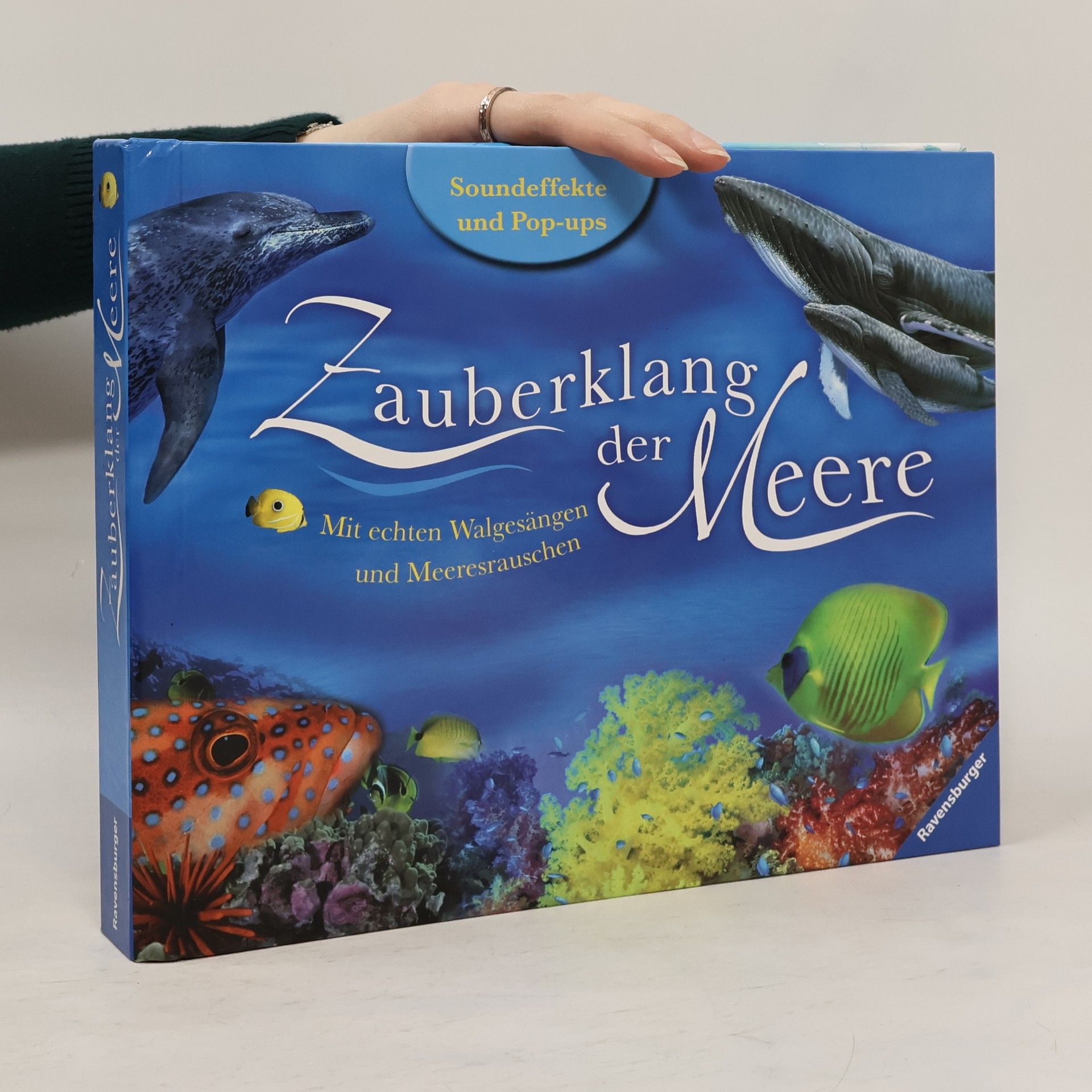 Maurice J. Pledger Zauberklang der Meere