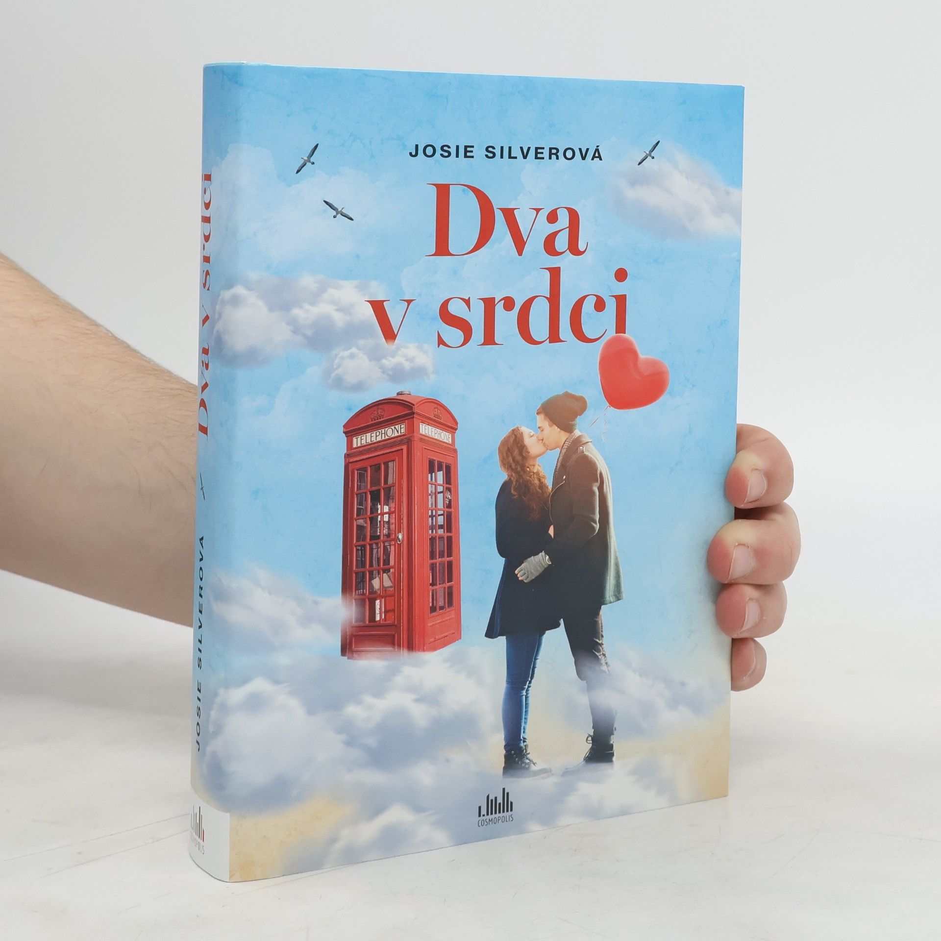 Josie Silver Dva v srdci