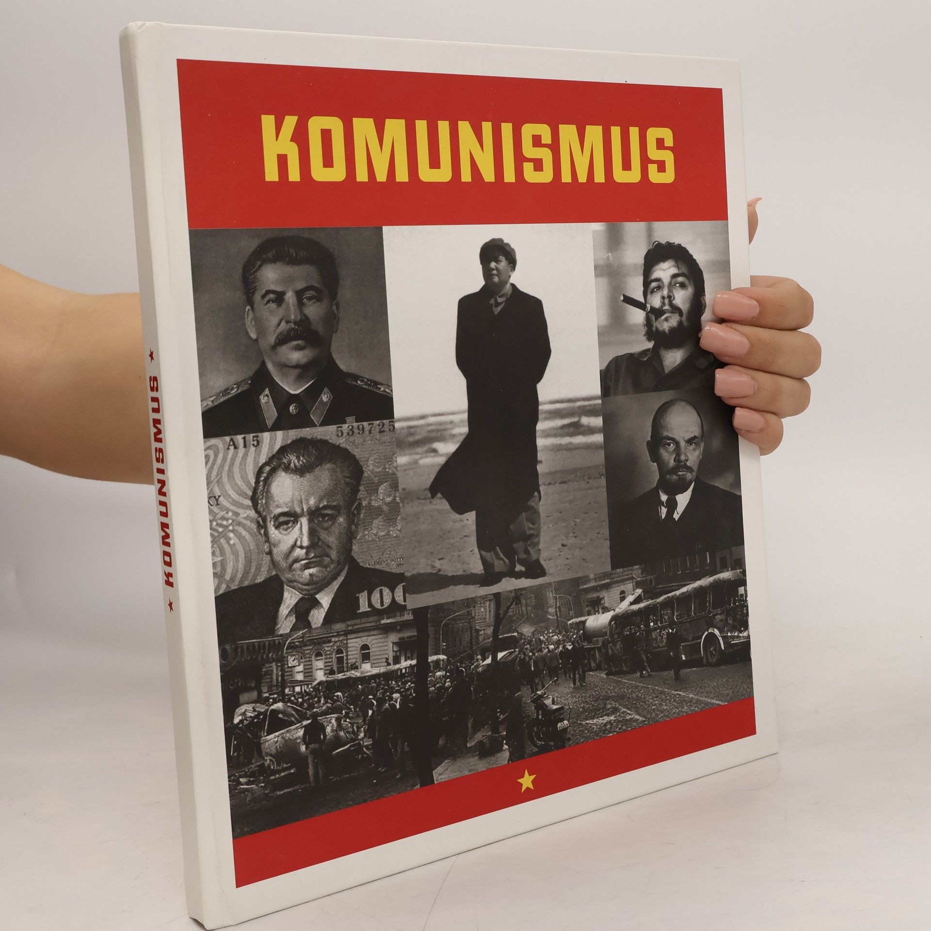 Marcello Flores Komunismus