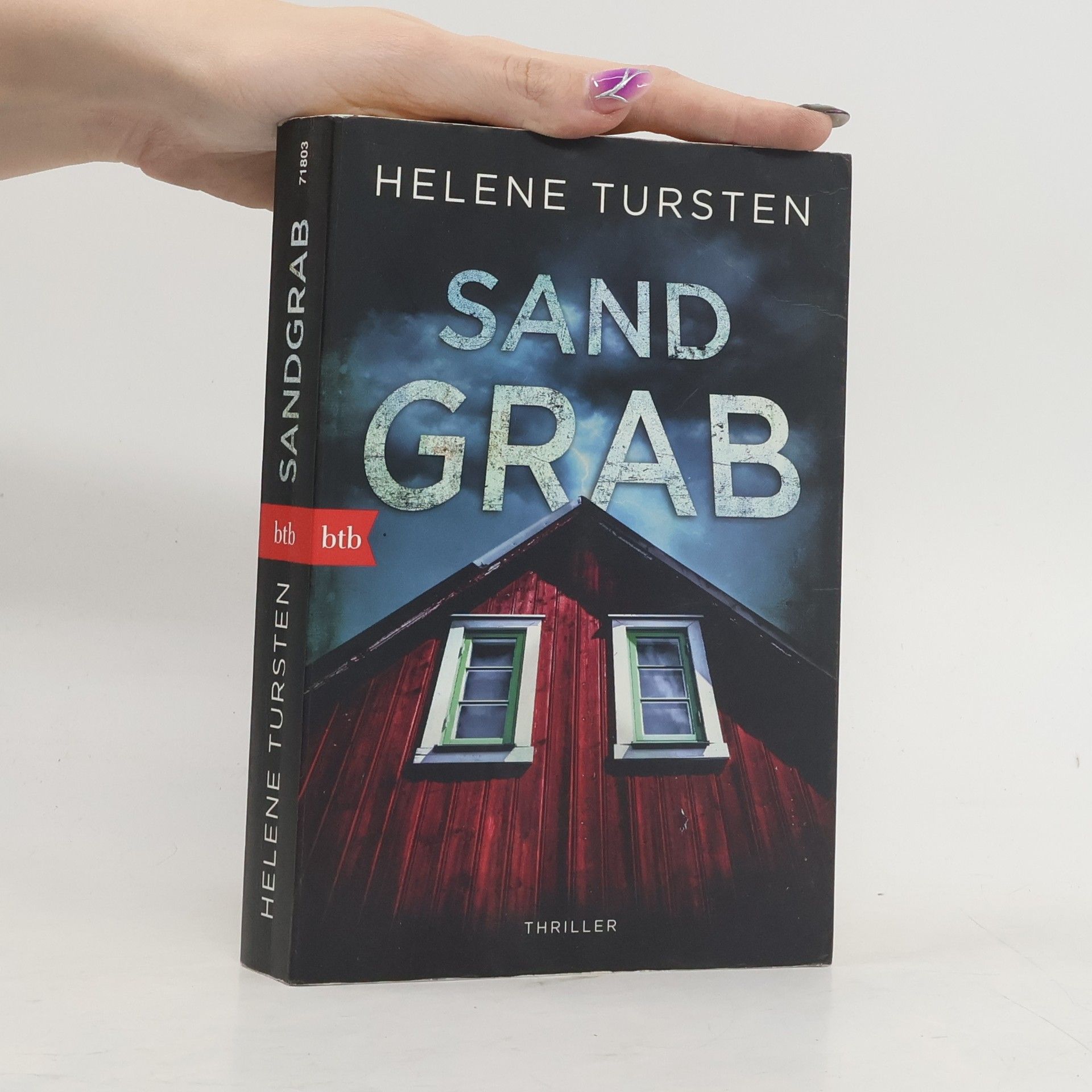 Helene Tursten Sandgrab