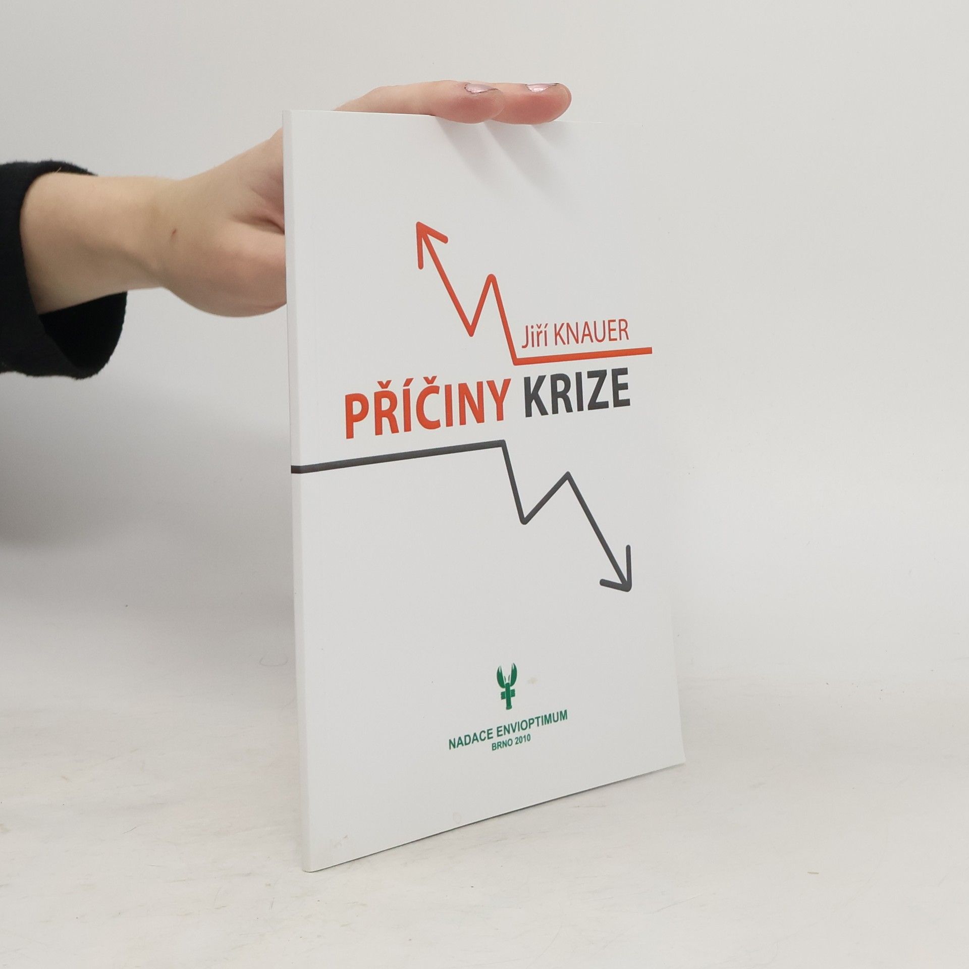 Jiří Knauer Příčiny krize