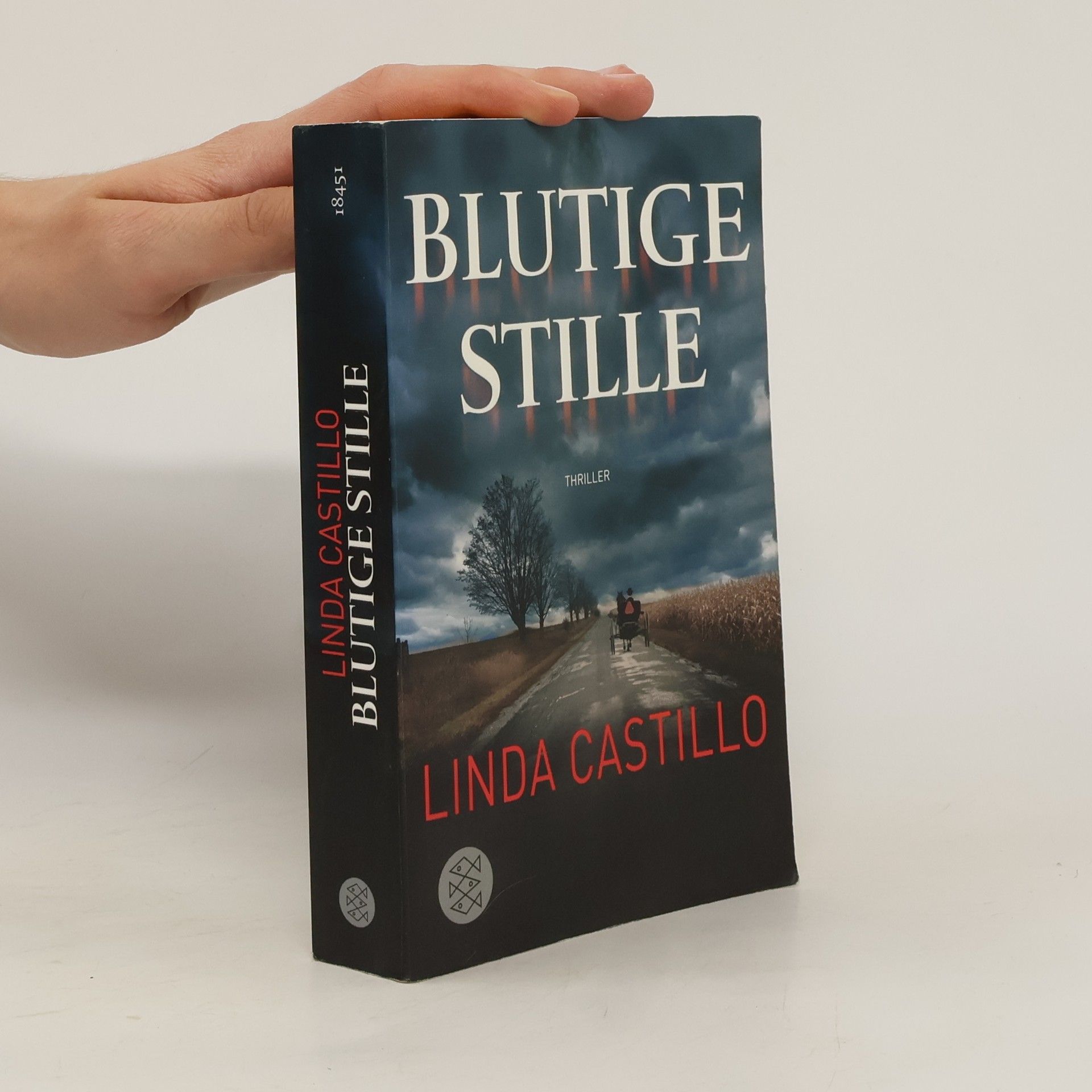 Linda Castillo Blutige Stille