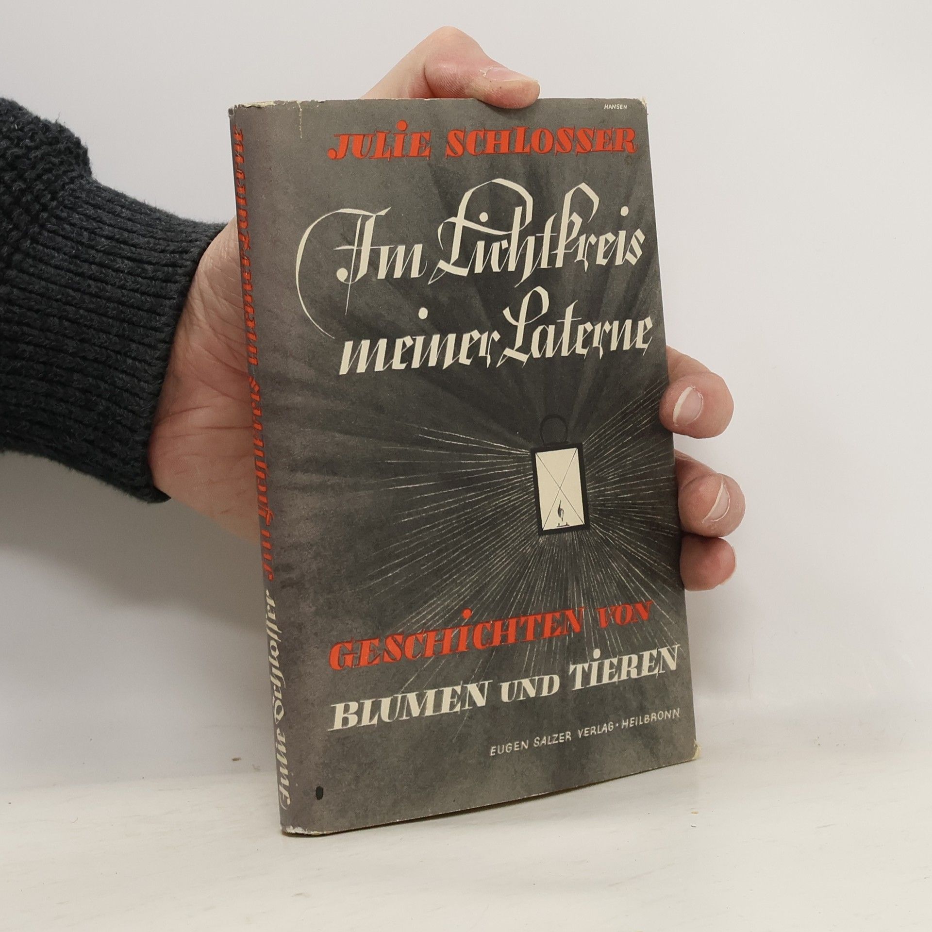 Im Lichtkreis meiner Laterne