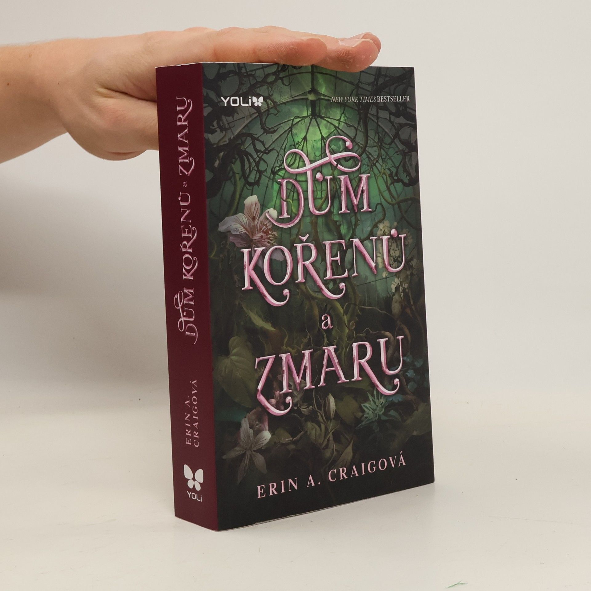 Erin A. Craig Dům kořenů a zmaru