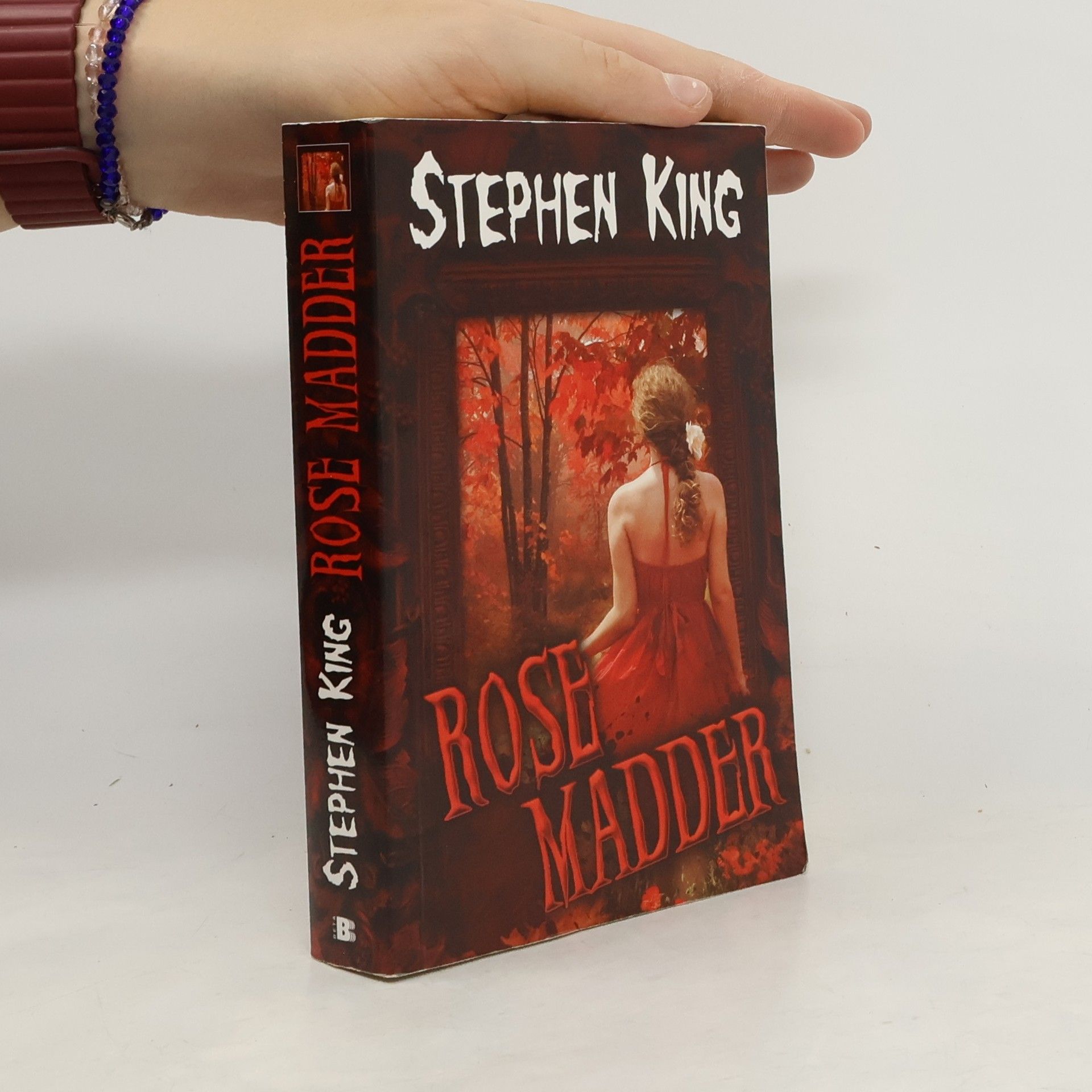 Stephen King Rose Madder