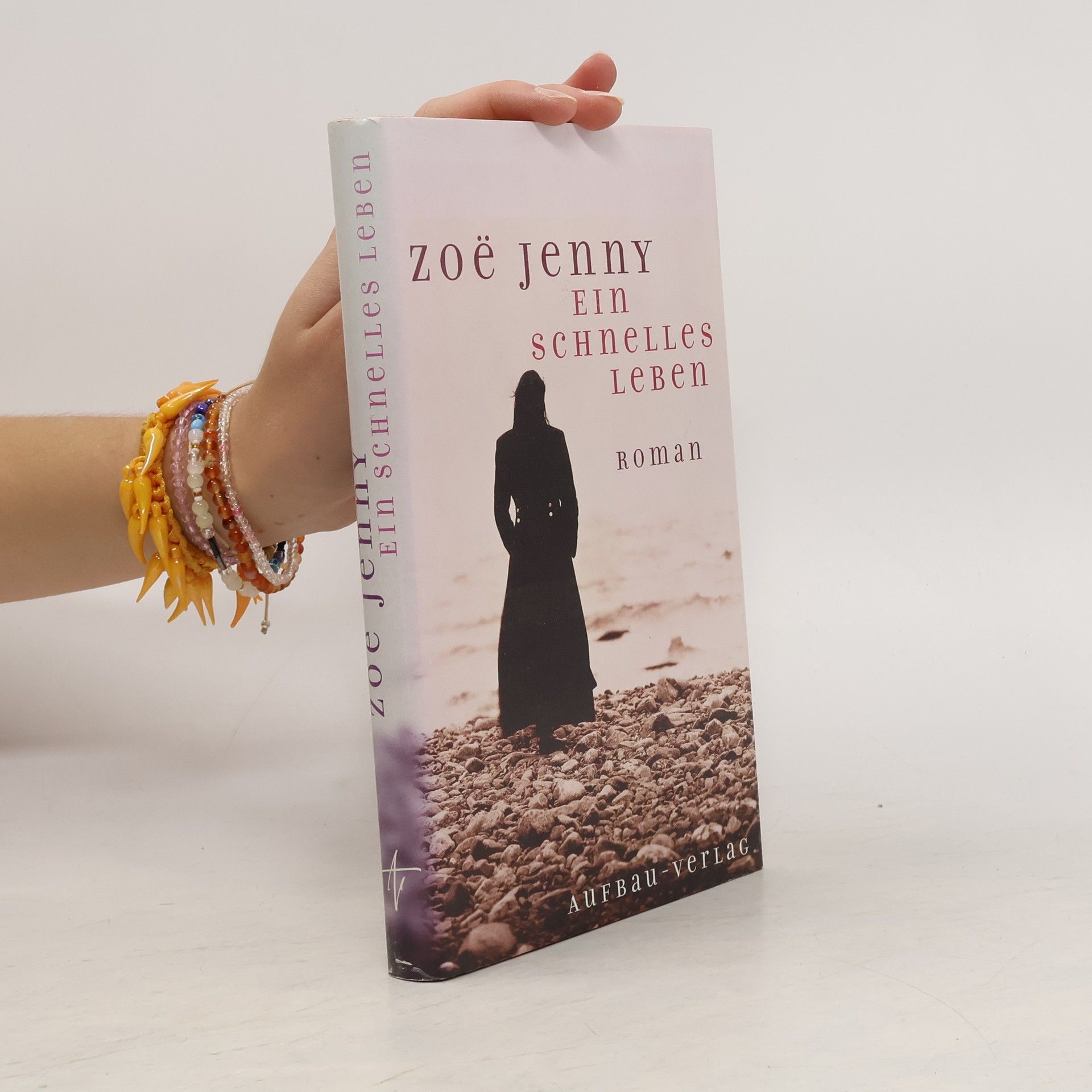 Zoë Jenny Ein schnelles Leben