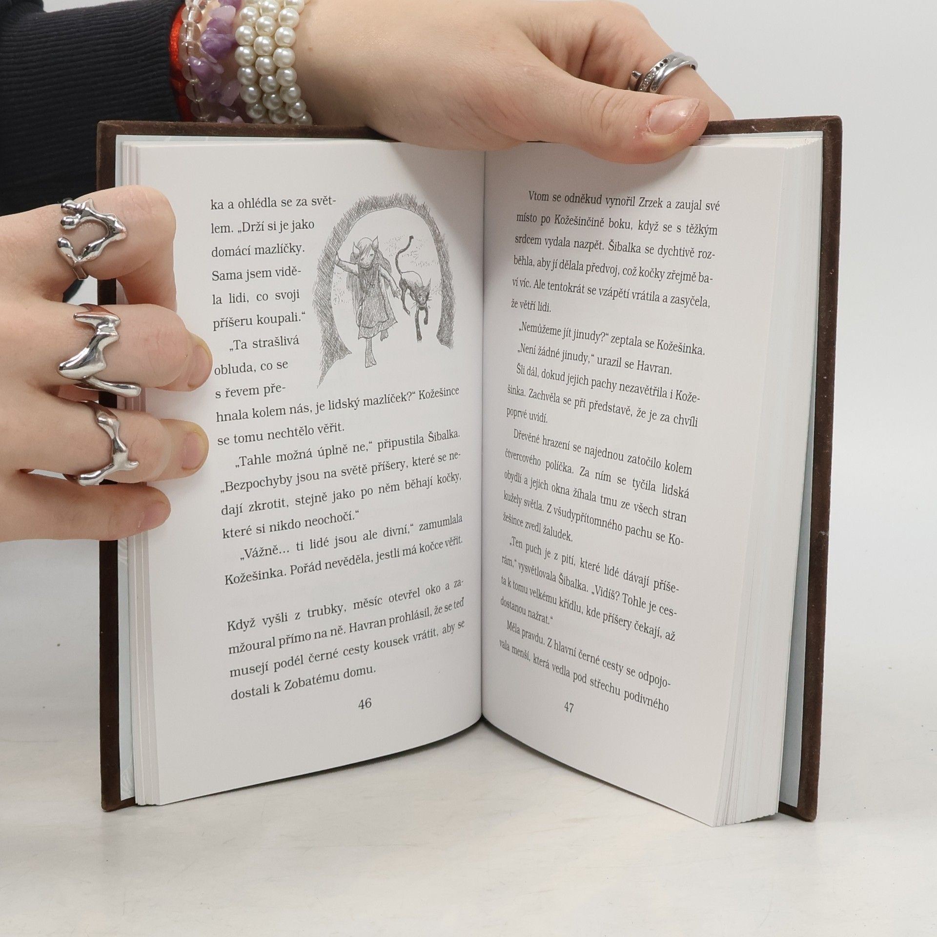 Isobelle Carmody Legenda o Kožešince 1. Výprava do neznáma