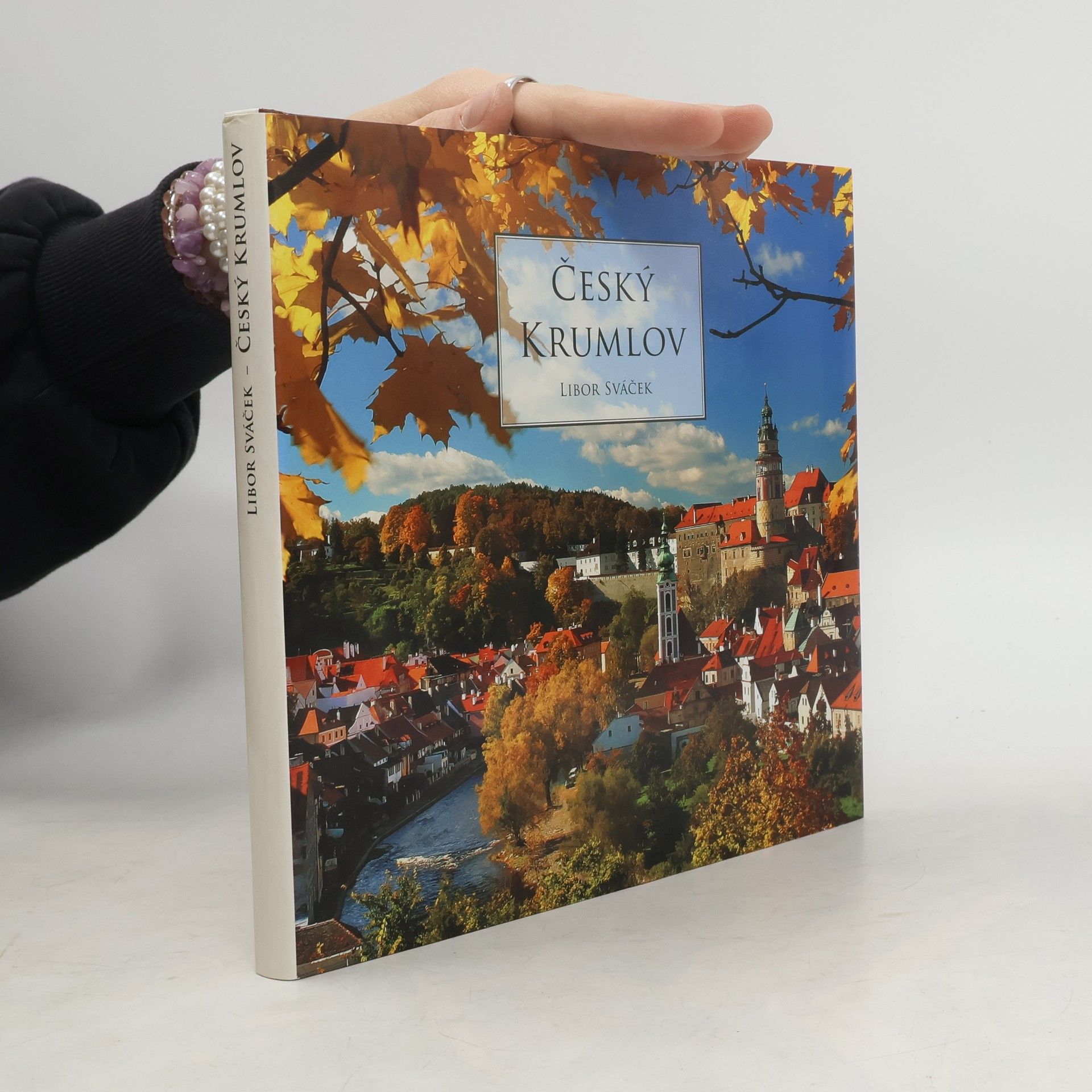 Libor Sváček Český Krumlov