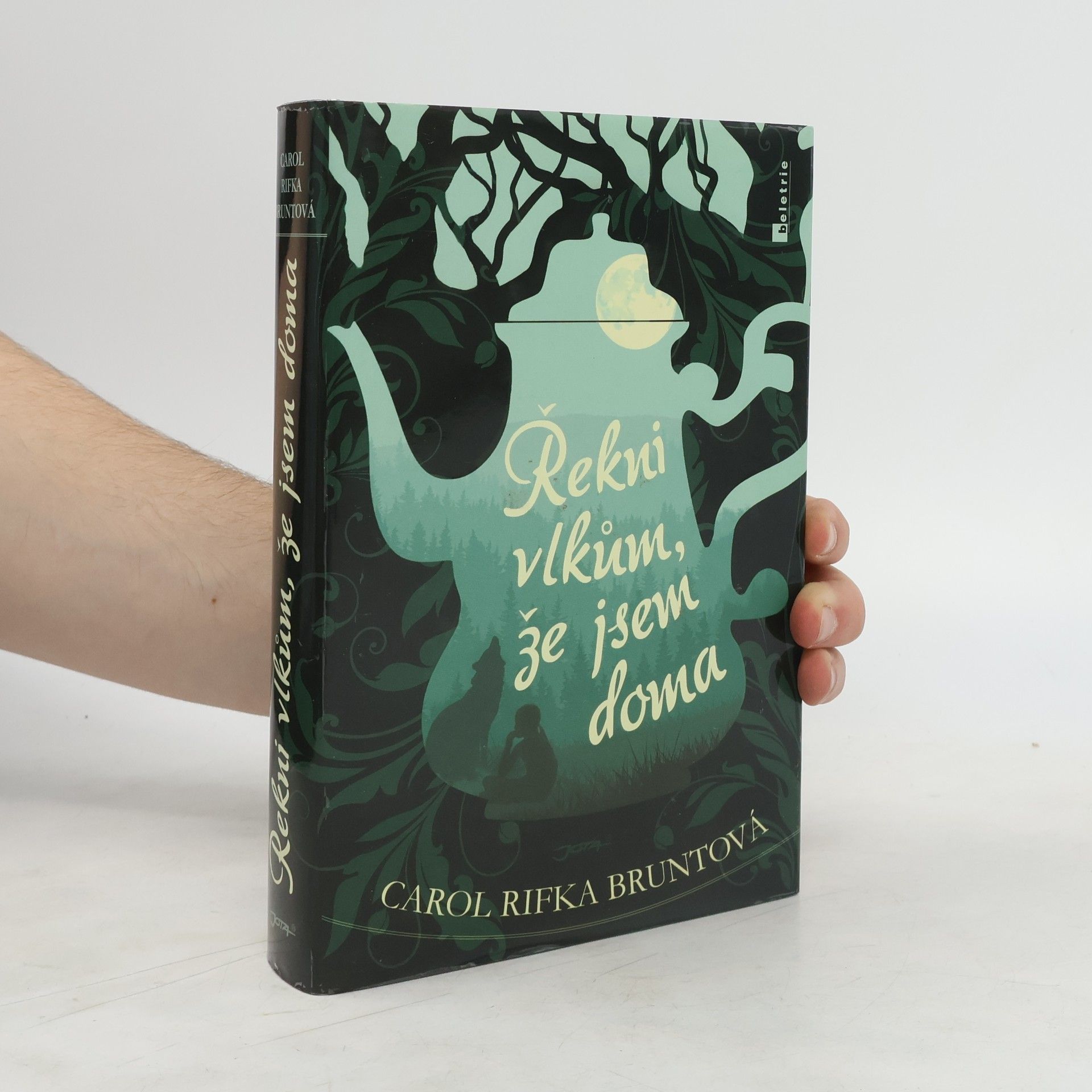 Carol Rifka Brunt Řekni vlkům, že jsem doma