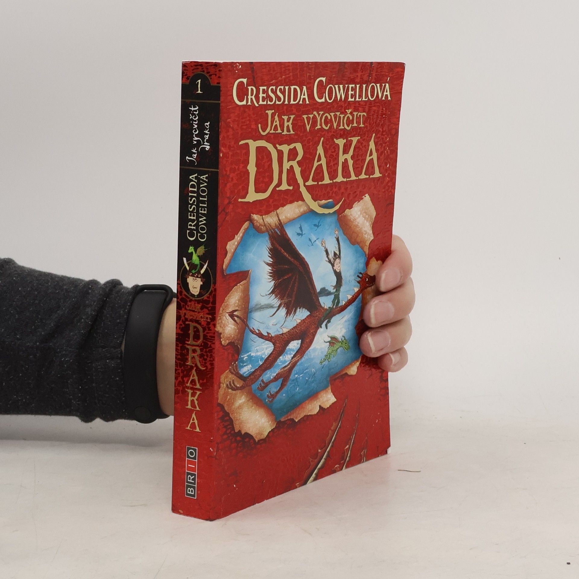 Cressida Cowell Jak vycvičit draka