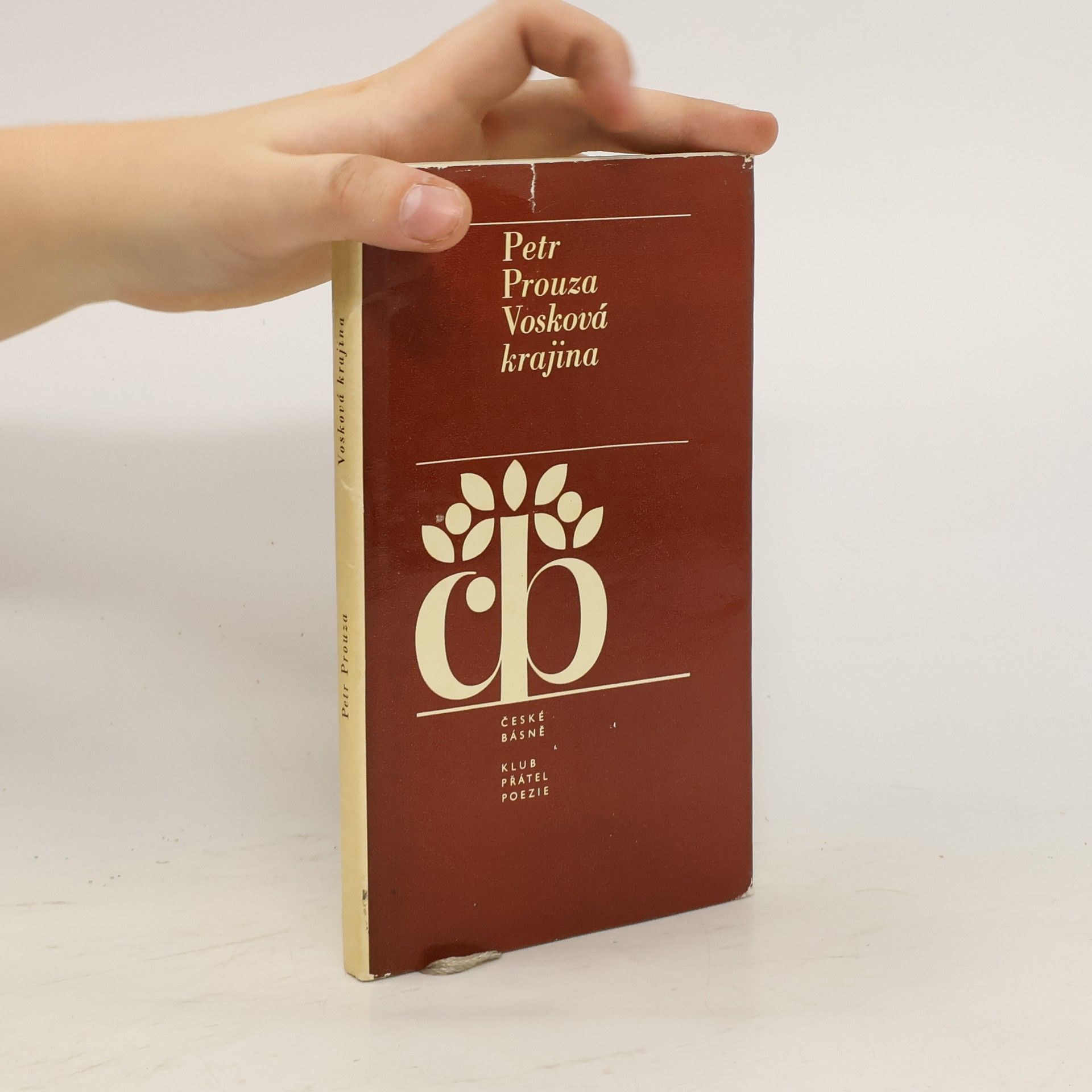 Petr Prouza Vosková krajina