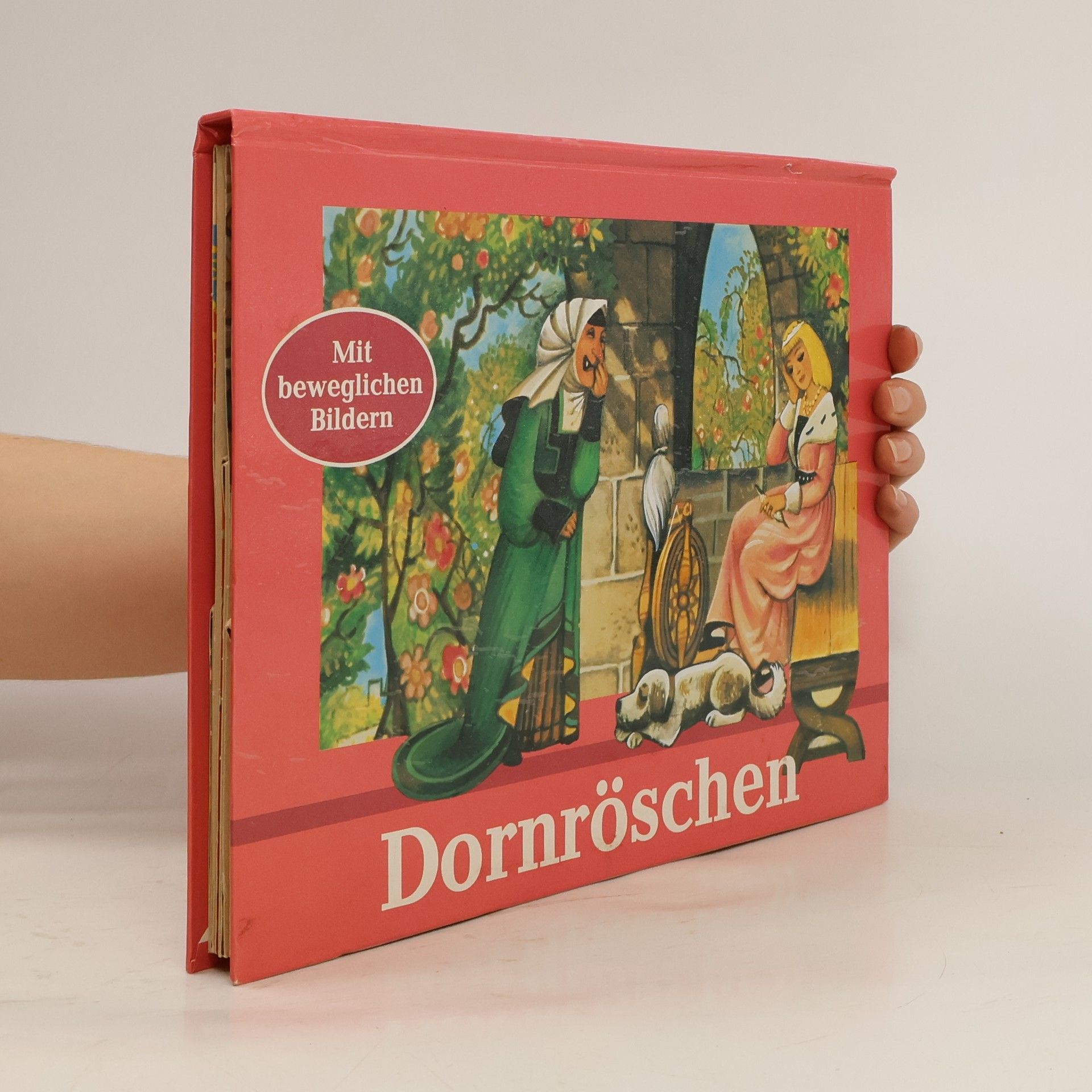 Autorenkollektiv Dornröschen