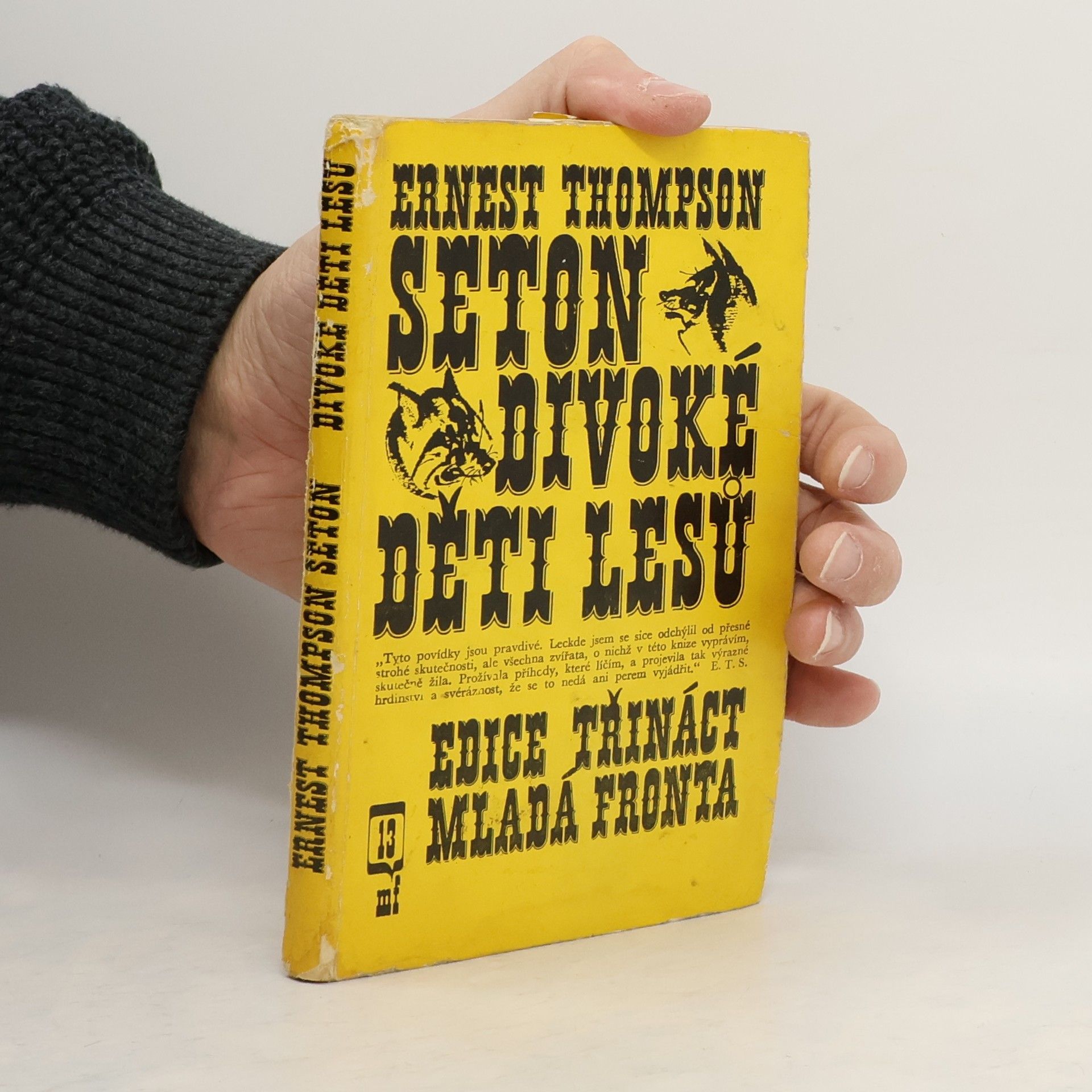 Ernest Thompson Seton Divoké děti lesů