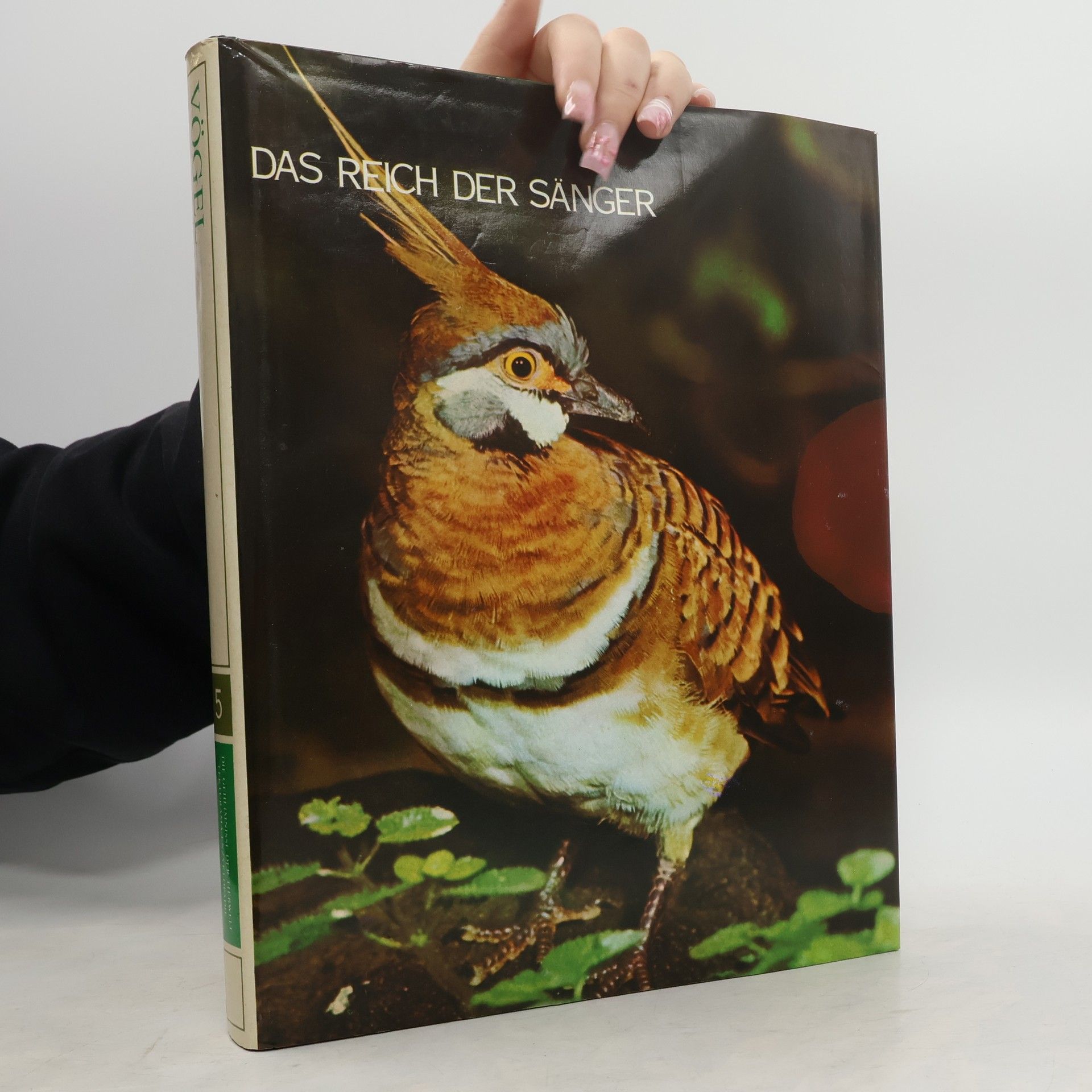 kolektiv Die Geheimnisse der Tierwelt. Das Reich der Sänger. Band 5. Vögel 1