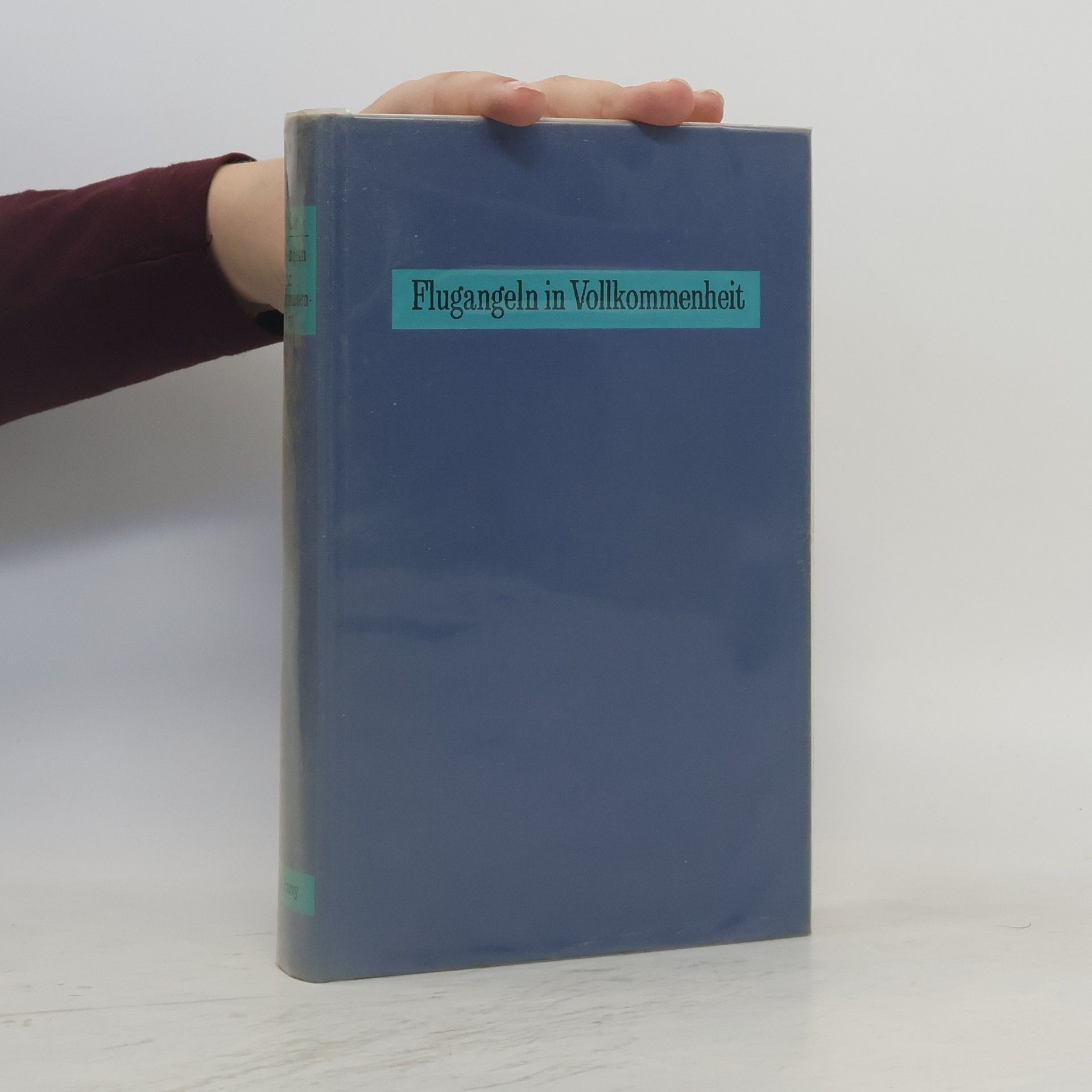 Autorenkollektiv Flugangeln in Vollkommenheit