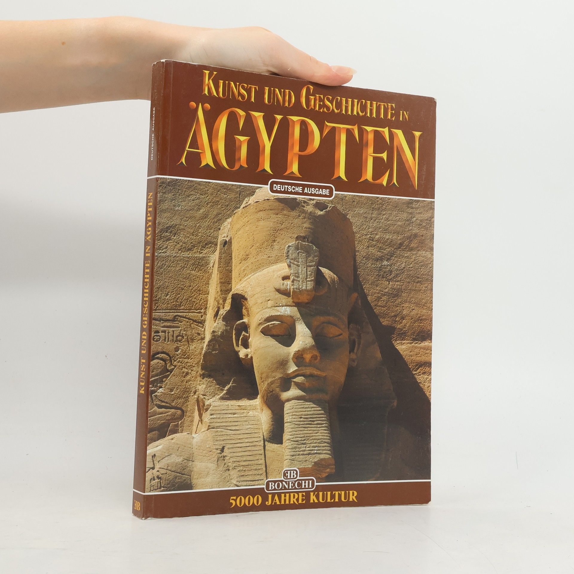Alberto Carlo Carpiceci Kunst und Geschichte in Ägypten