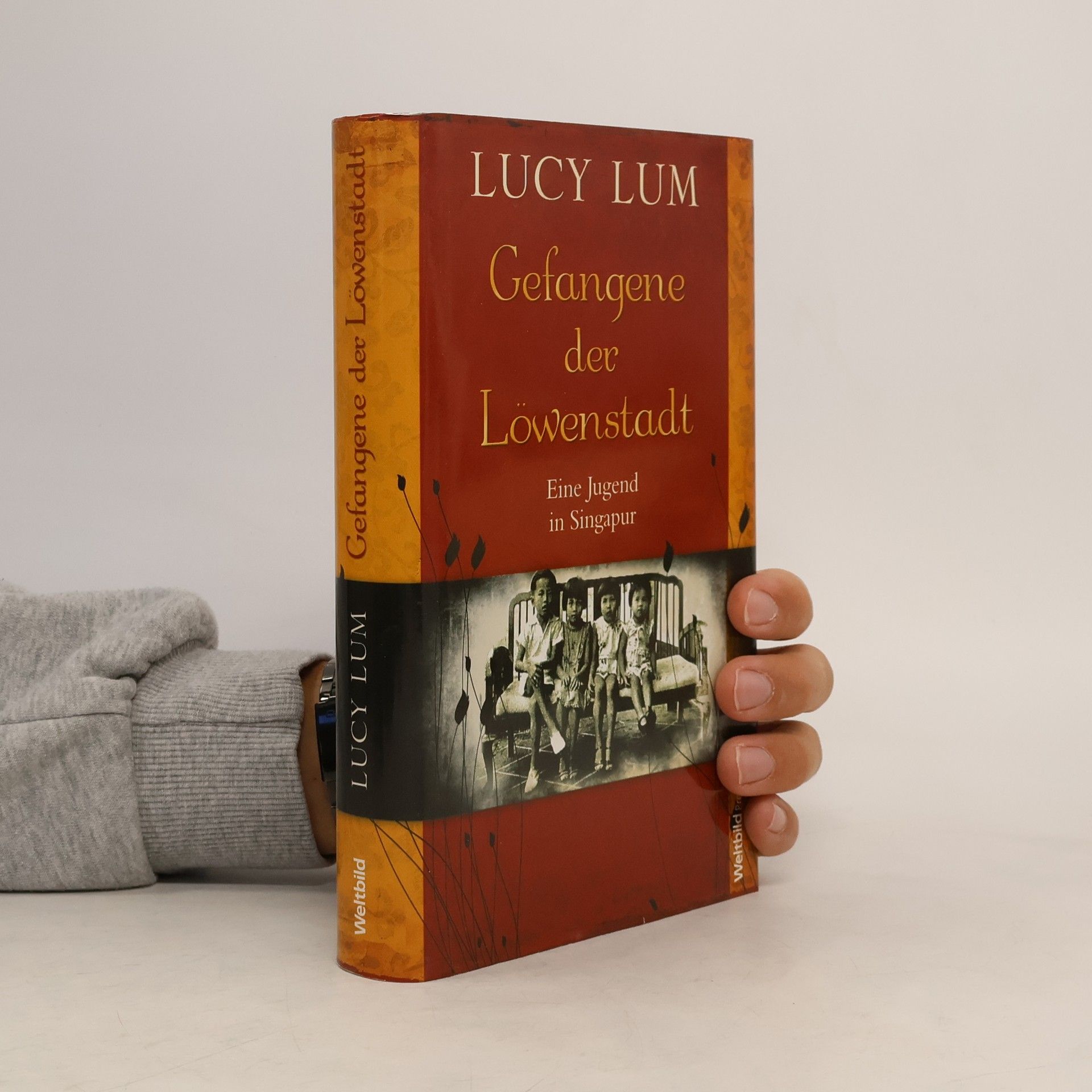 Lucy Lum Gefangene der Löwenstadt