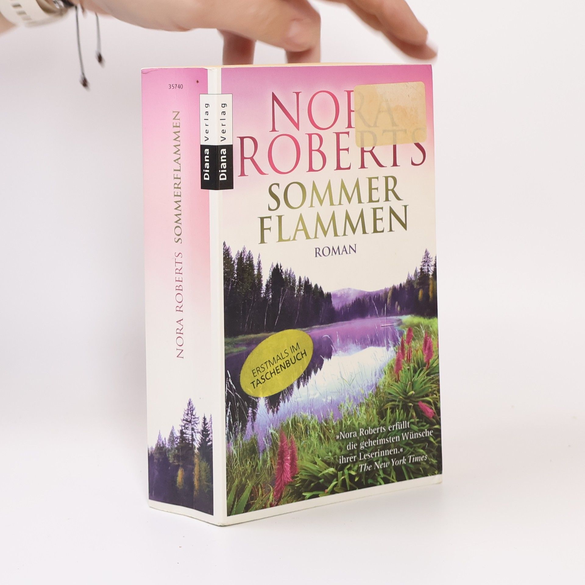 Nora Roberts Sommer Flammen