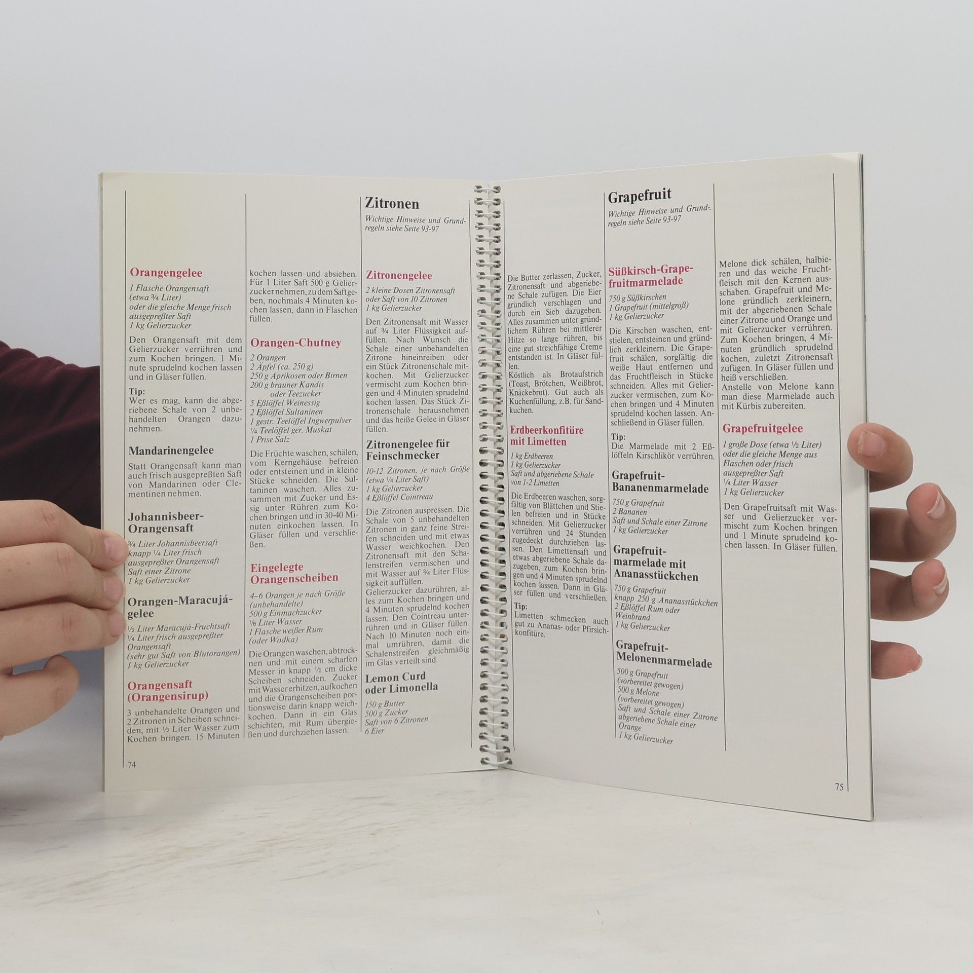 Autorenkollektiv Handbuch für die Früchtezeit