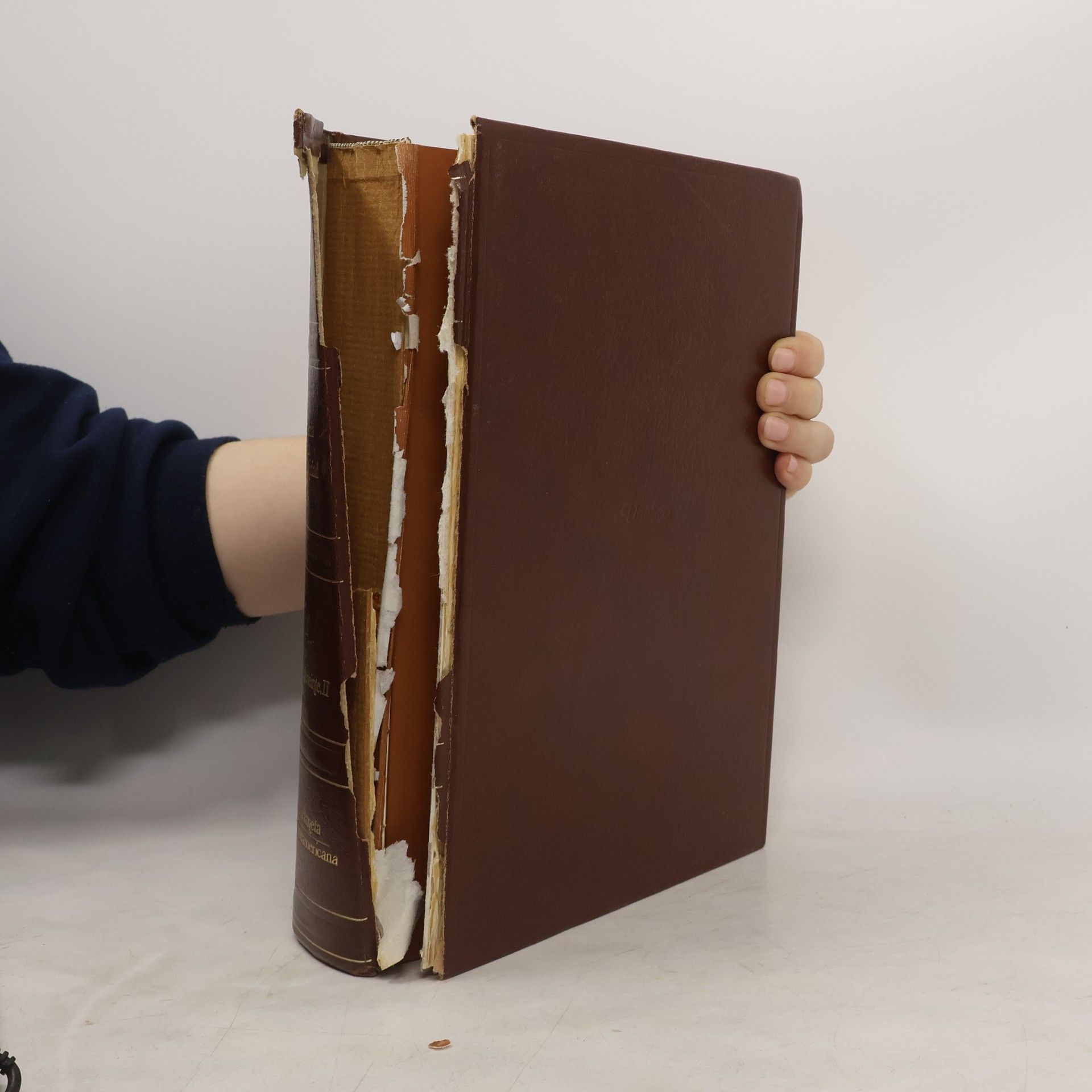 Collectif d'auteurs Historia de la humanidad 11