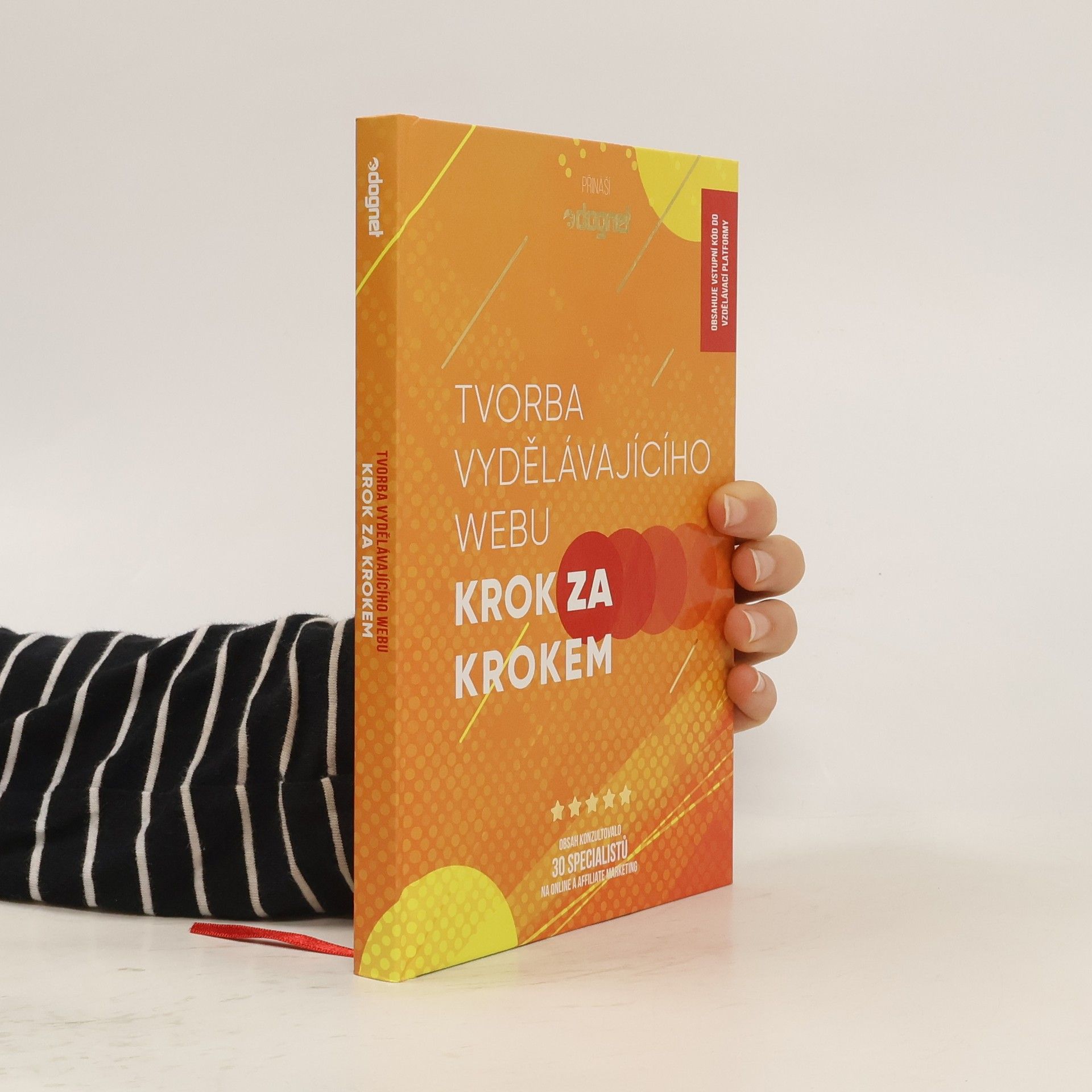 Hanka Čajková Tvorba vydělávajícího webu : krok za krokem