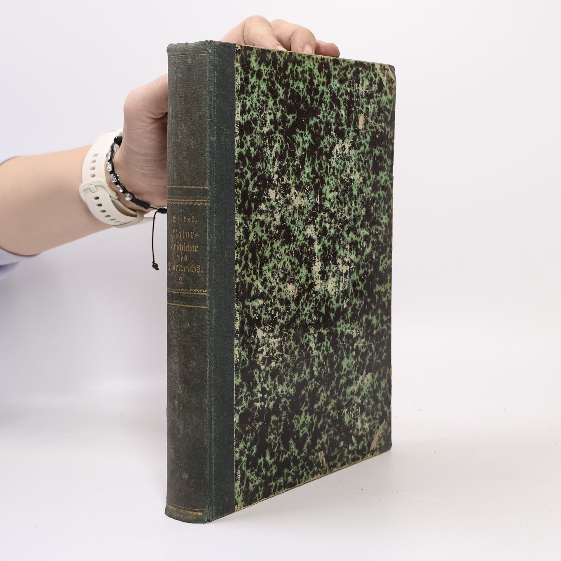 C. G. Giebel Die Naturgeschichte des Thierreichs 2. Die Vögel