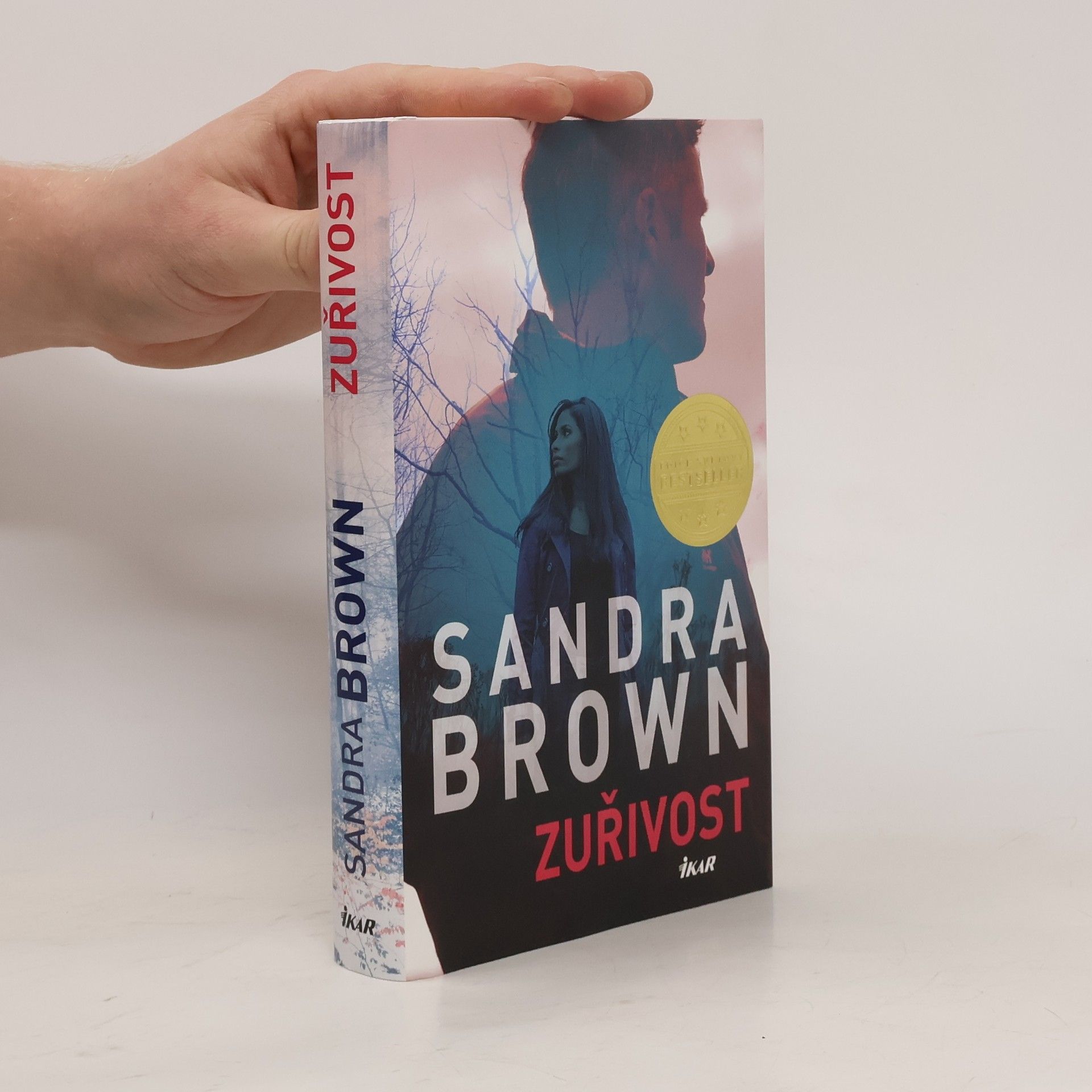 Sandra Brown Zuřivost