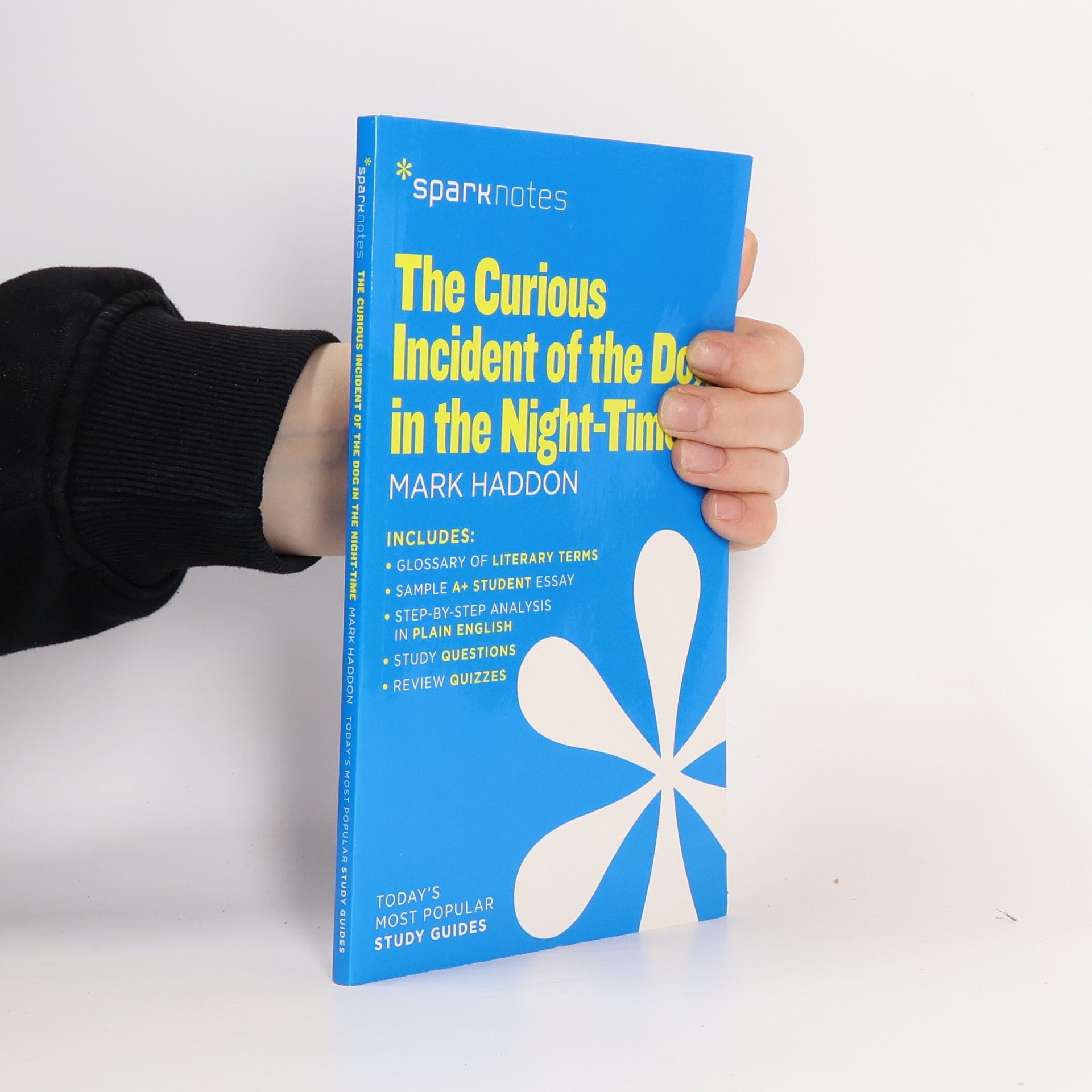 Mark Haddon The Curious Incident Of The Dog In The Night