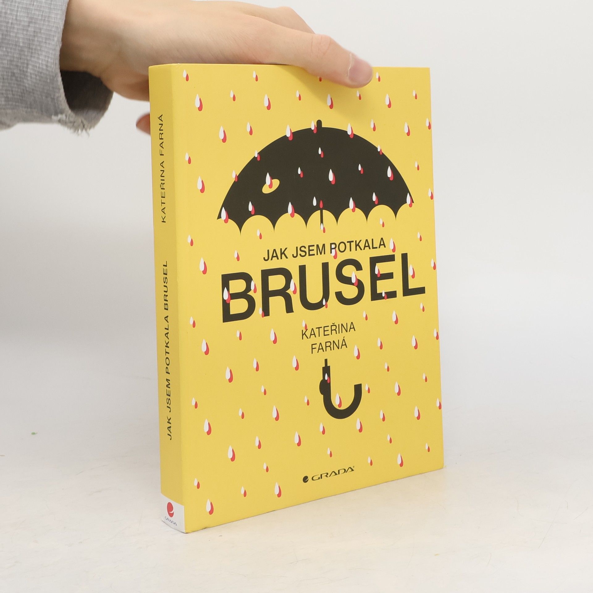 Kateřina Farná Jak jsem potkala Brusel